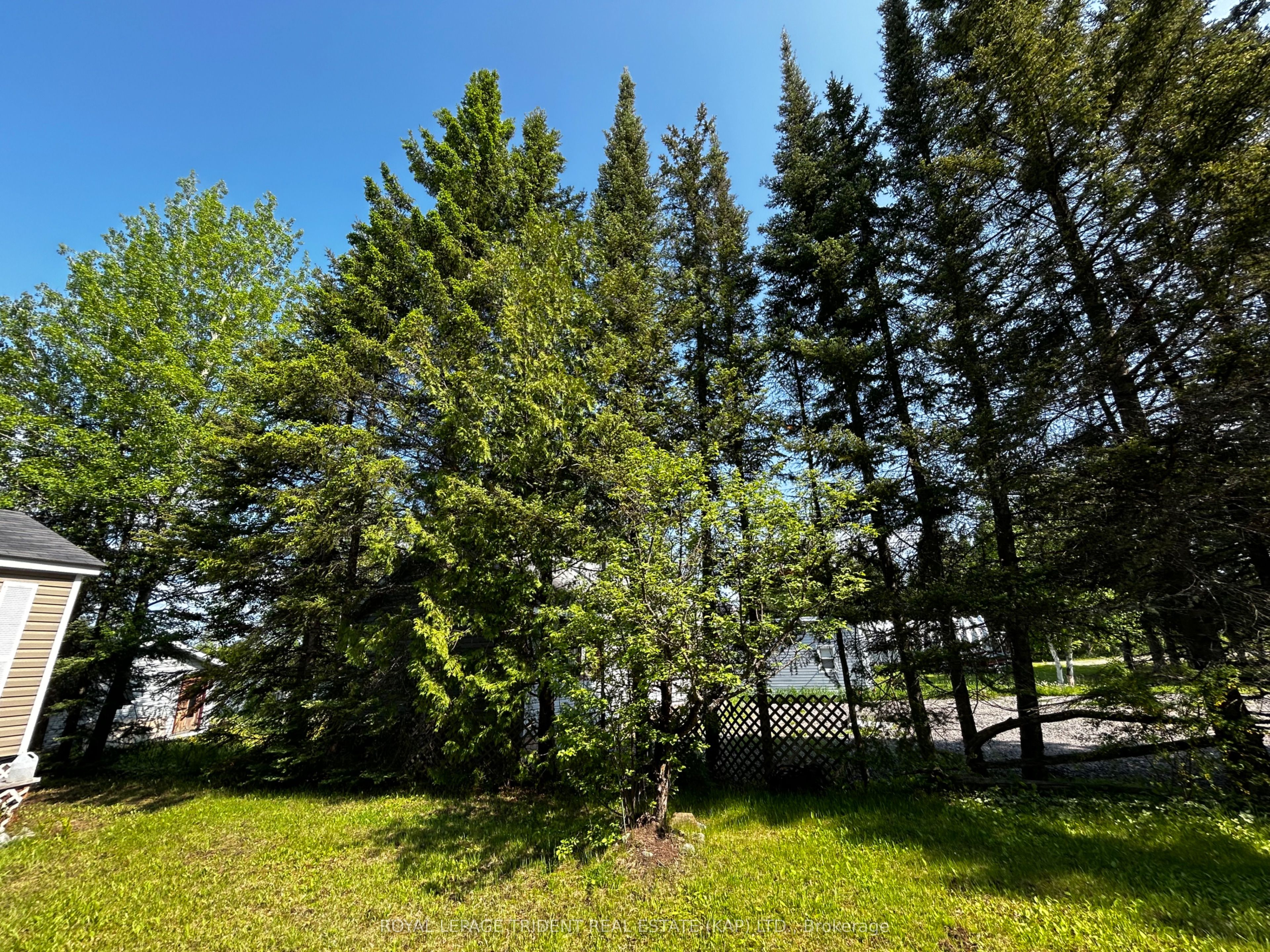 59 Remi Lake Road N, Moonbeam, ON P0L 1V0 photo 4