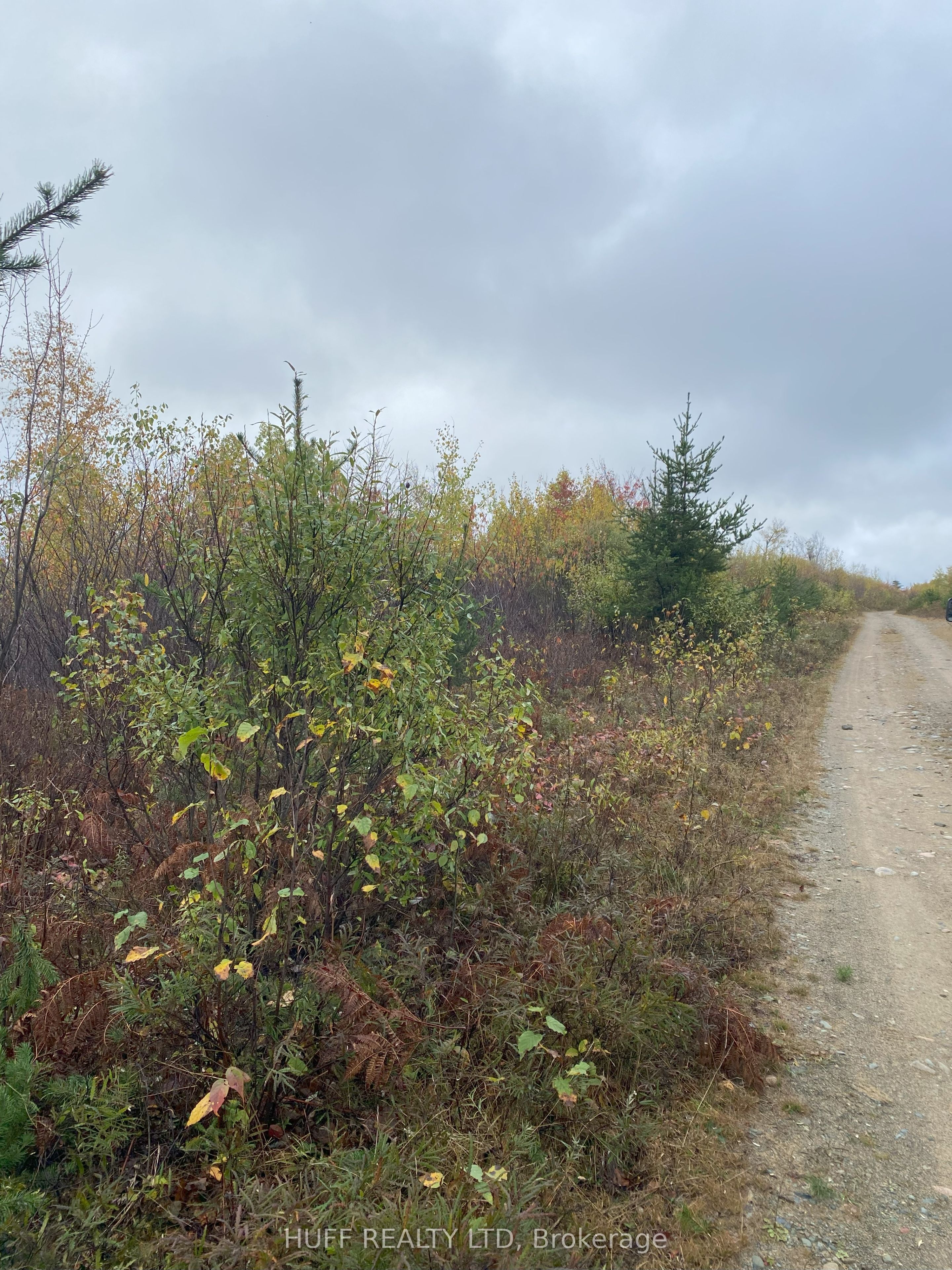 Lt 1 Con 6 54R-6390 Lot 1 Con 6 Marter TWP Road, Englehart, ON P0J 1H0 photo 2