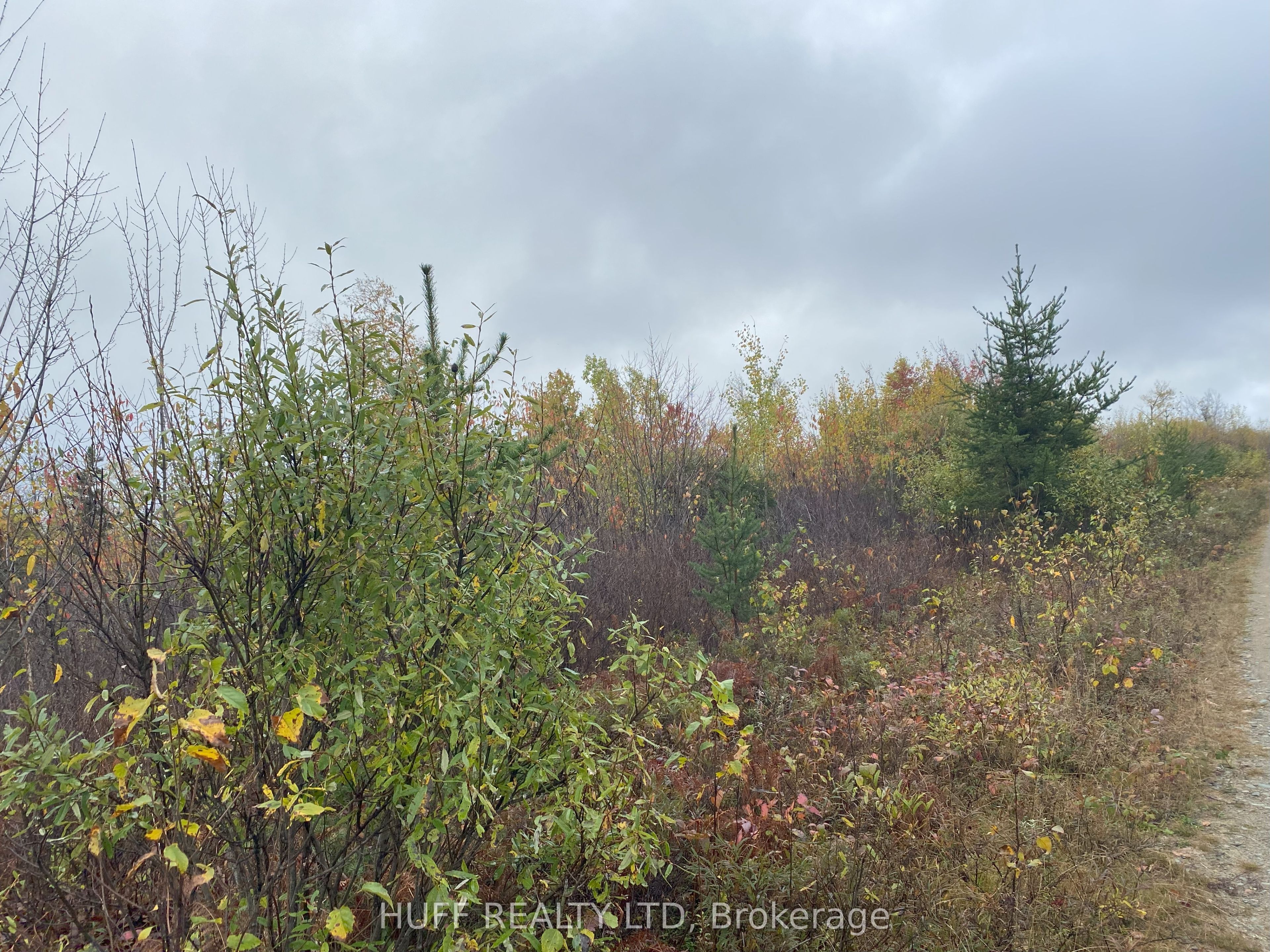 Lt 1 Con 6 54R-6390 Lot 1 Con 6 Marter TWP Road, Englehart, ON P0J 1H0 photo 3