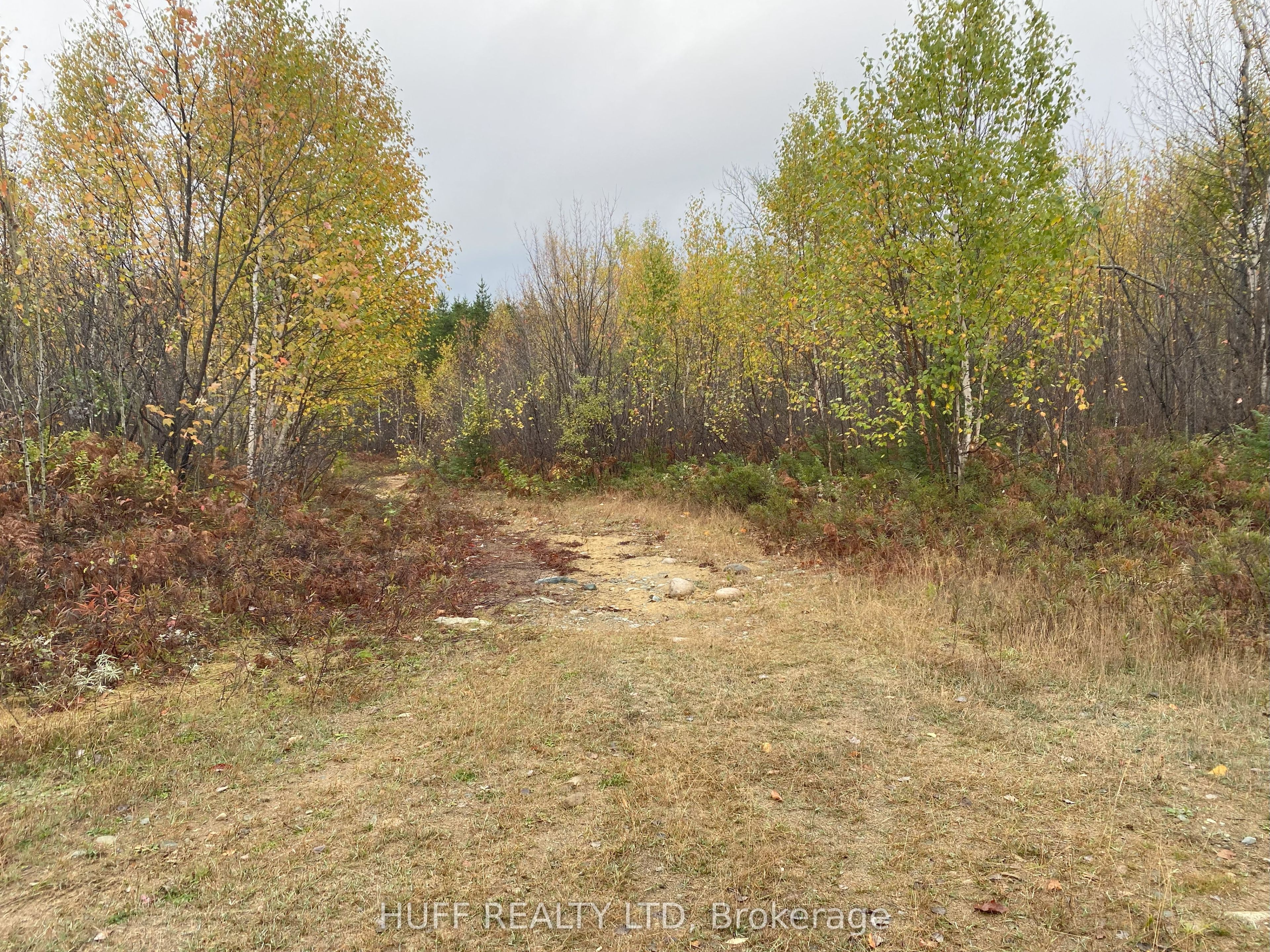 Lt 1 Con 6 54R-6390 Lot 1 Con 6 Marter TWP Road, Englehart, ON P0J 1H0 photo 5