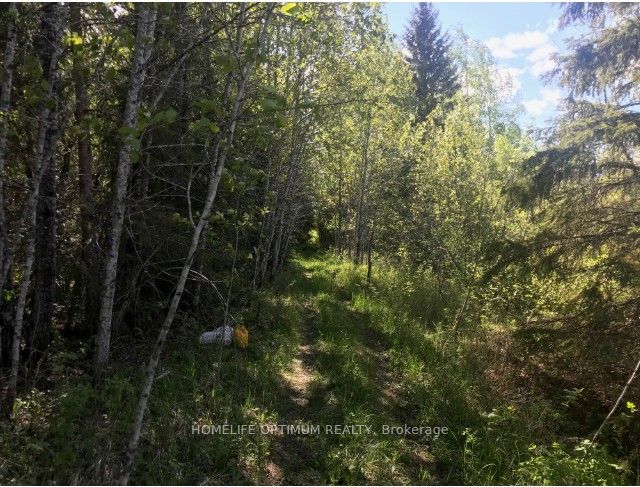 75.25 Acres in Pyne Township - PCL 4952, Cochrane, ON P0K 1G0 photo 4
