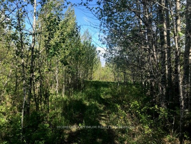 75.25 Acres in Pyne Township - PCL 4952, Cochrane, ON P0K 1G0 photo 5