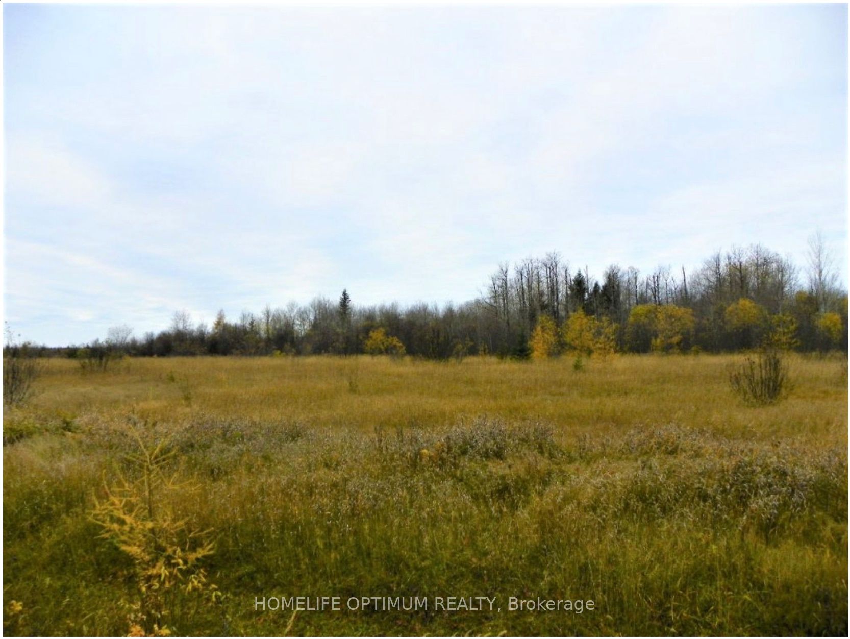 PCL 8479 N/A, Mattice-Val Cote, ON P0L 1T0 photo 2