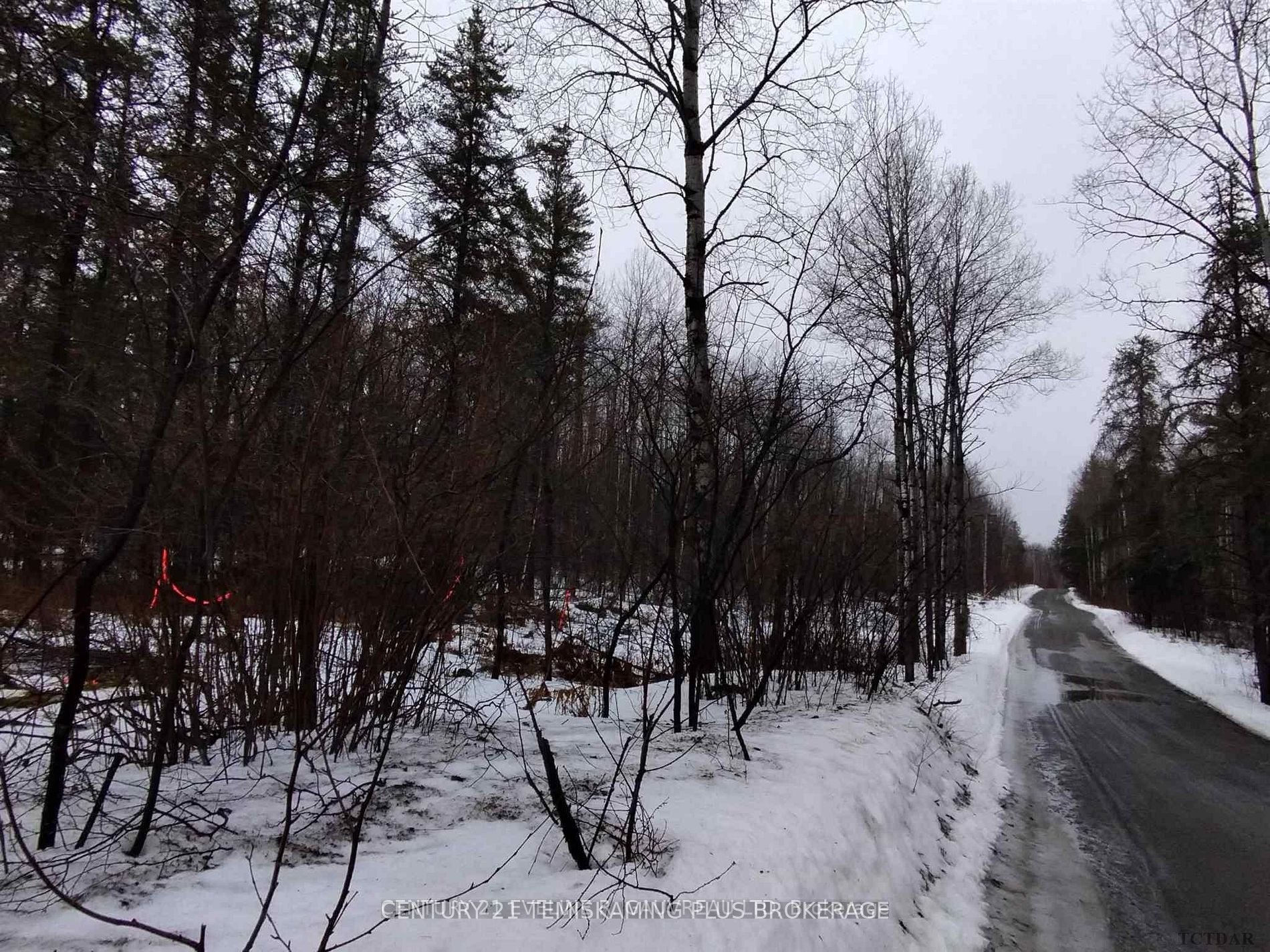 Part 11 Lot 11 Concession 6 Girl Guide Road, Coleman, ON P0J 1C0 photo 2