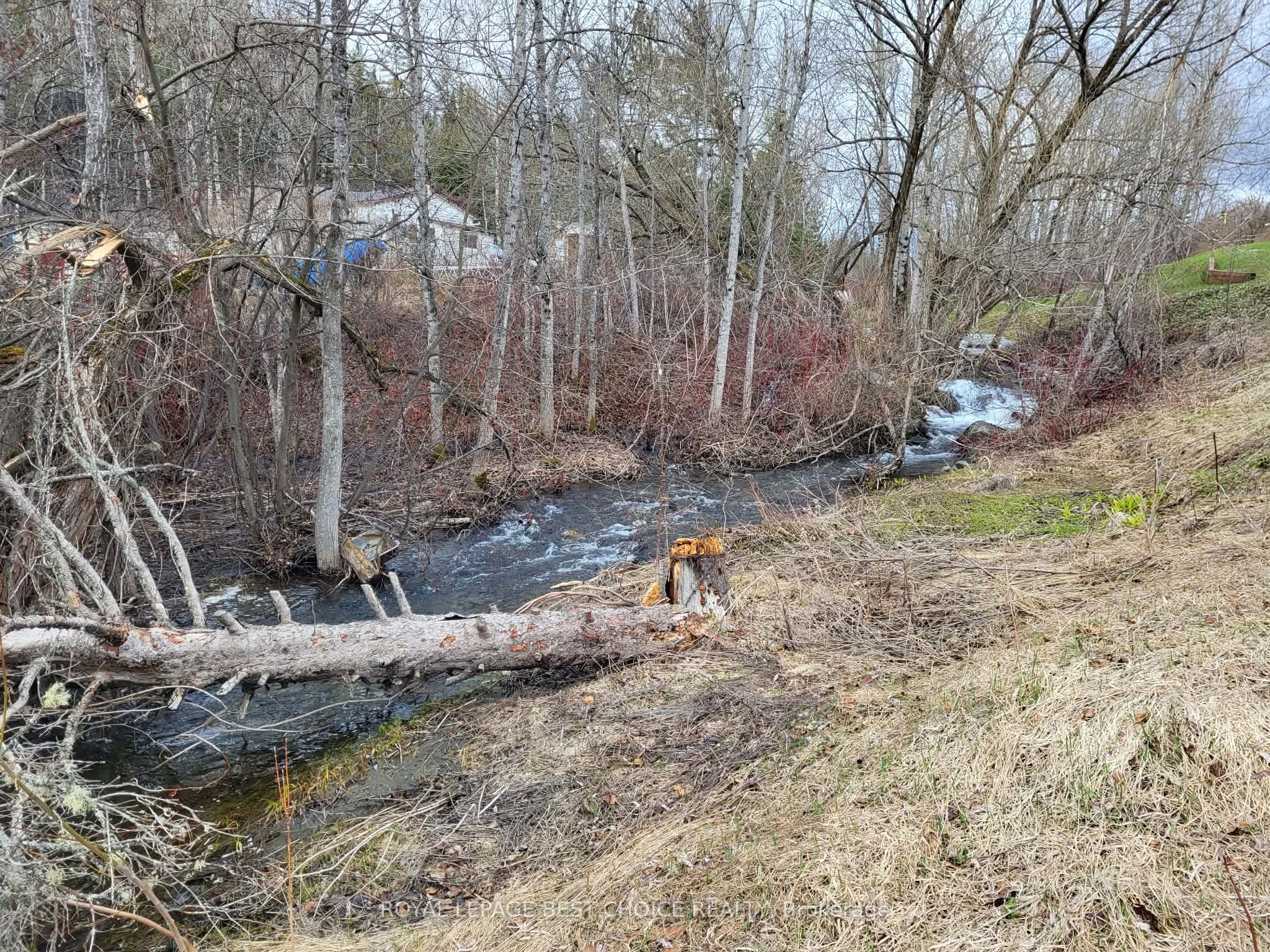 29 Hudson Bay Road, Cobalt, ON P0J 1C0 photo 5