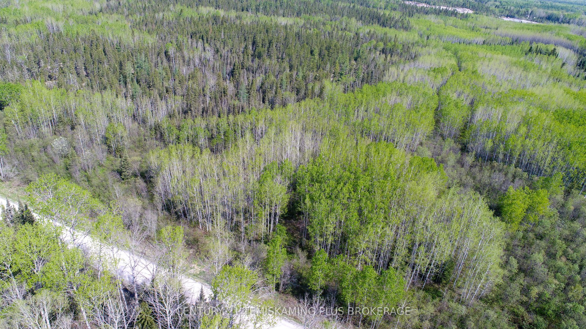PT 1 - Shalf LT 7 Con 5 Chamberlain 5 Road, Englehart, ON P0J 1H0 photo 3