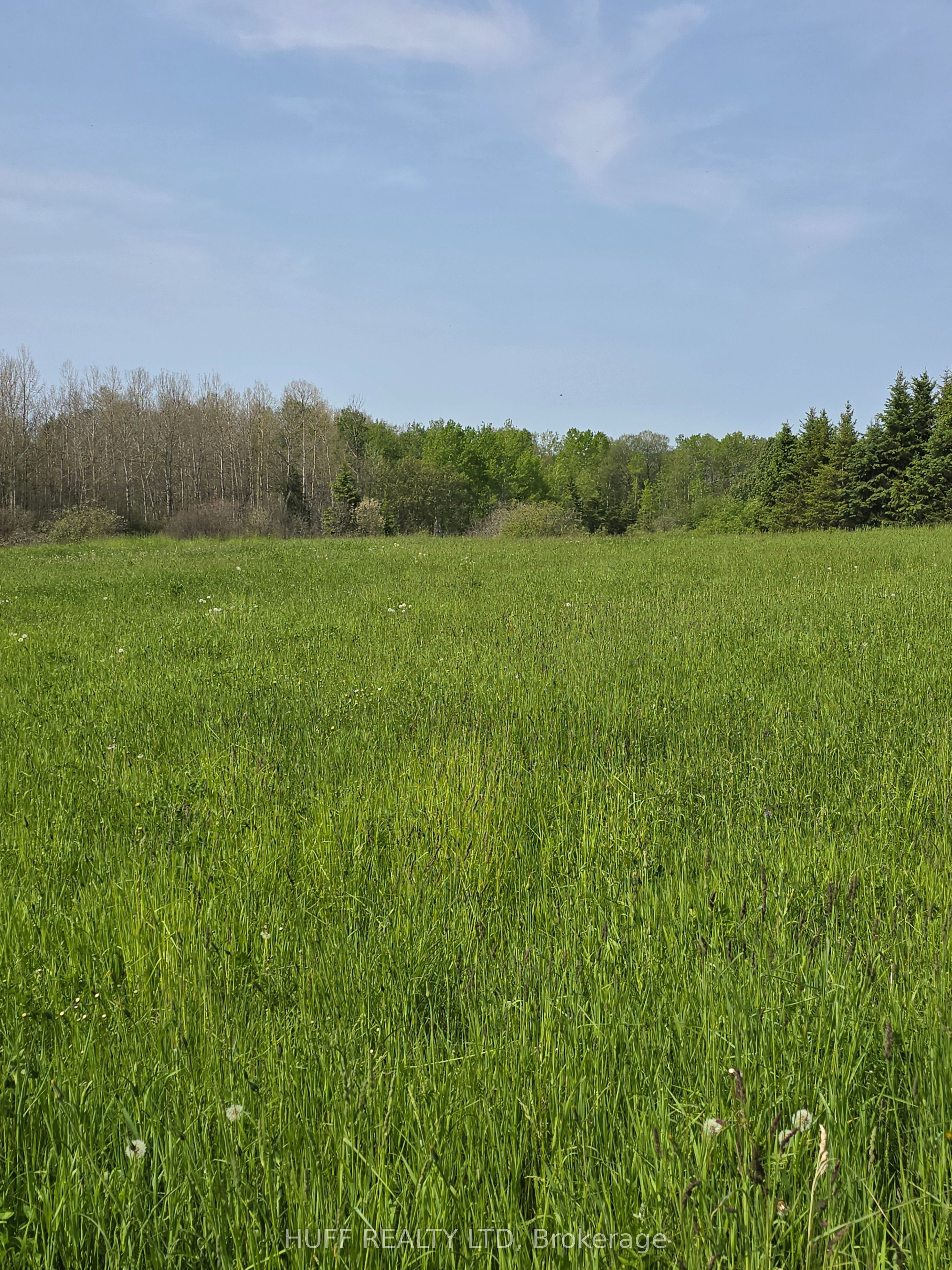 166185 Mini-Farm Road, Armstrong, ON P0J 1E0 photo 4