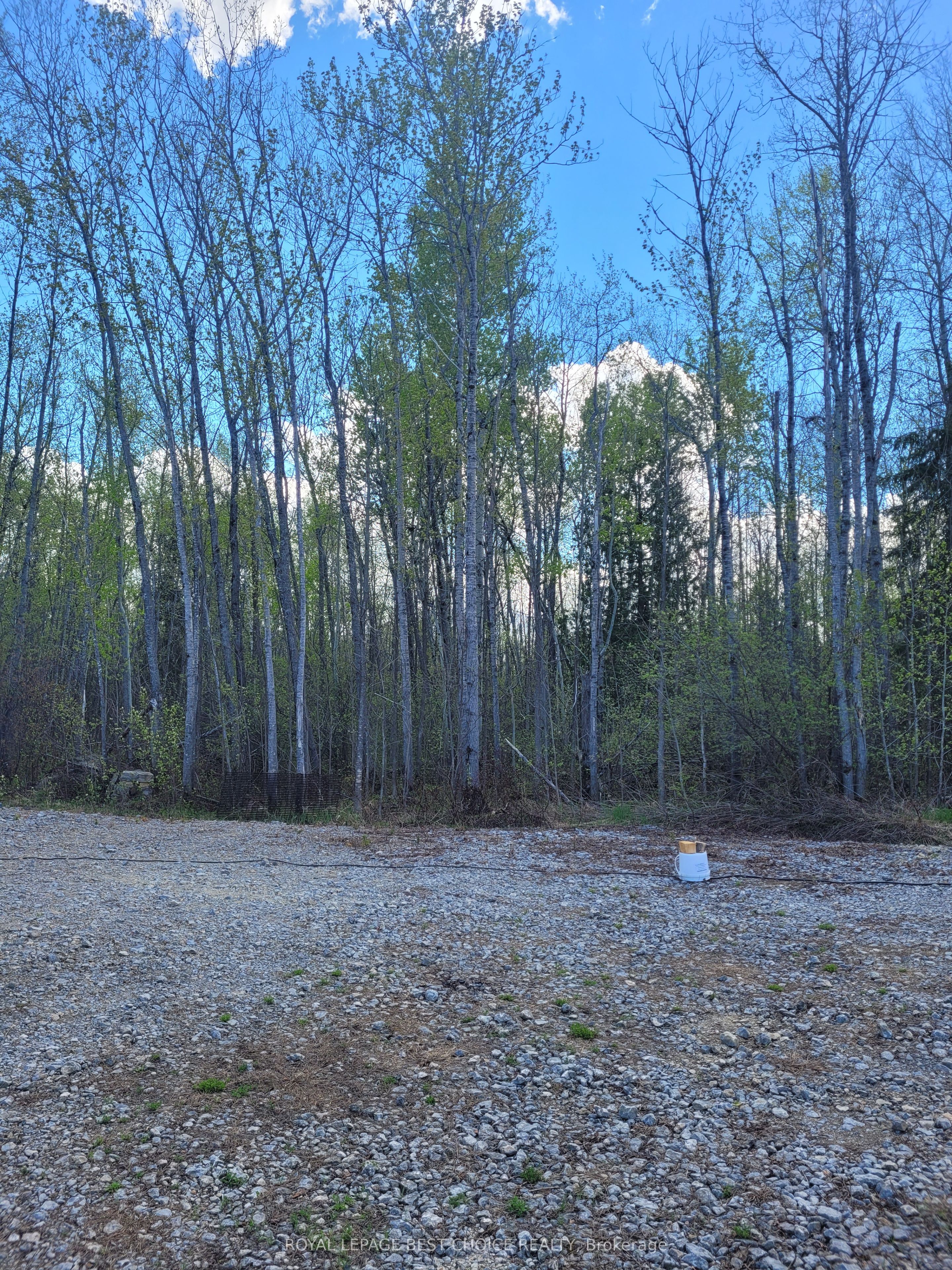 950245 Hwy 569 N/A, Timiskaming, ON P0J 1S0 photo 5