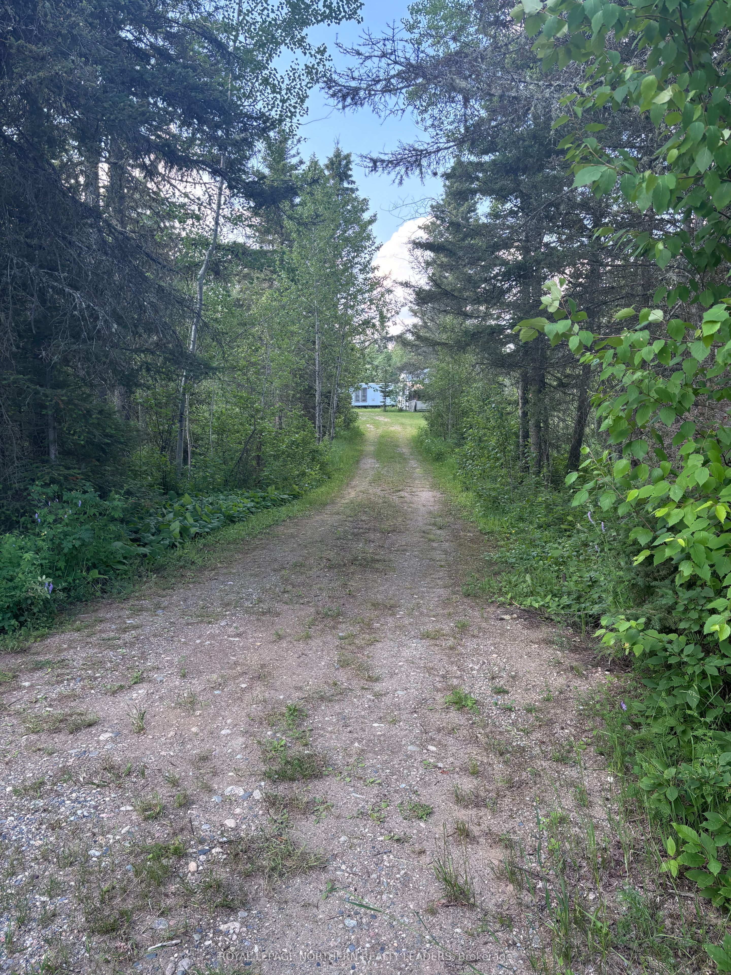 503 Bentley Lake Road, Cochrane, ON P0L 1C0 photo 3