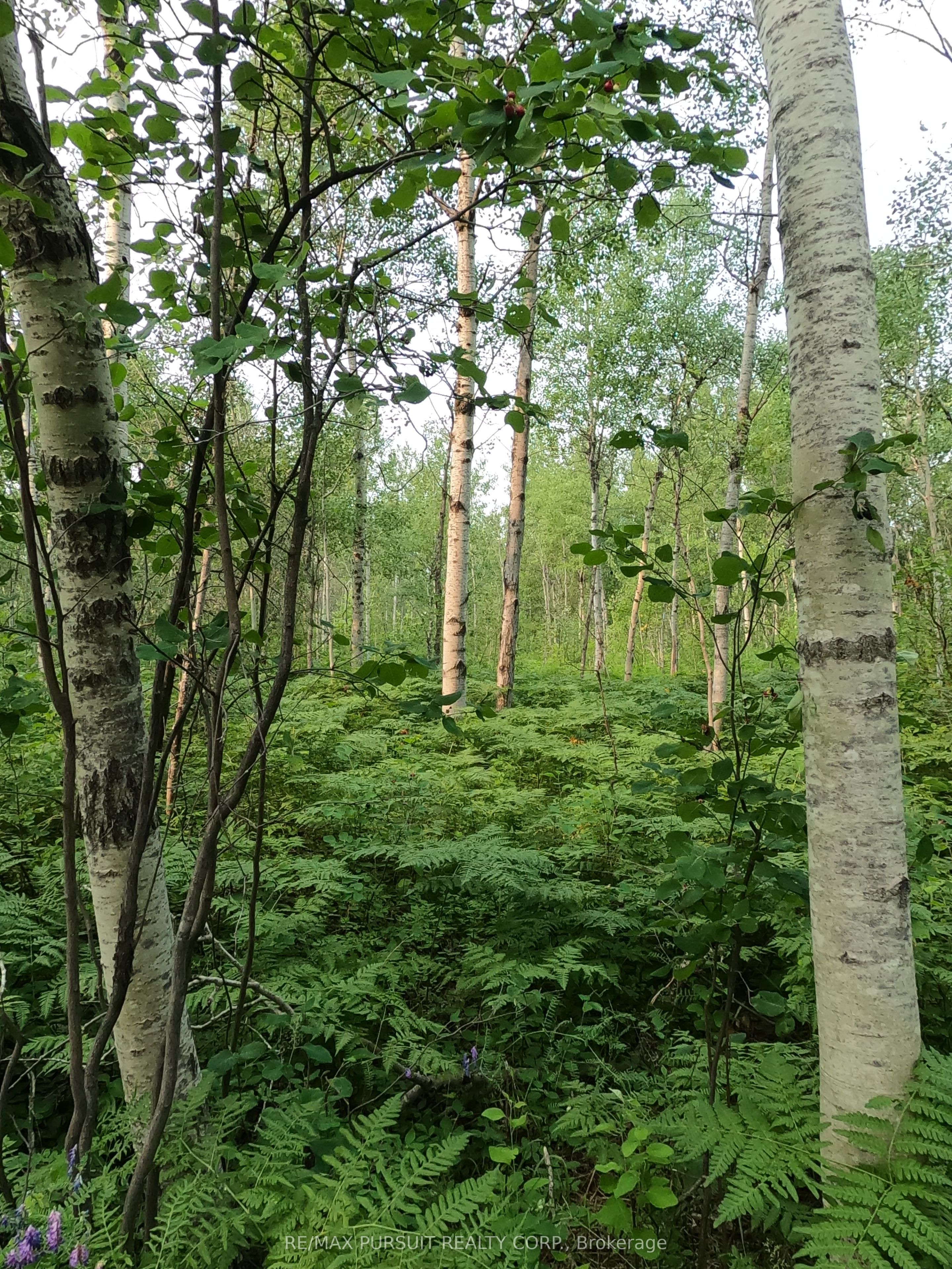PT N 1/2 LT 11 CON 3 QUARRY Road, Temiskaming Shores, ON P0J 1K0 photo 3