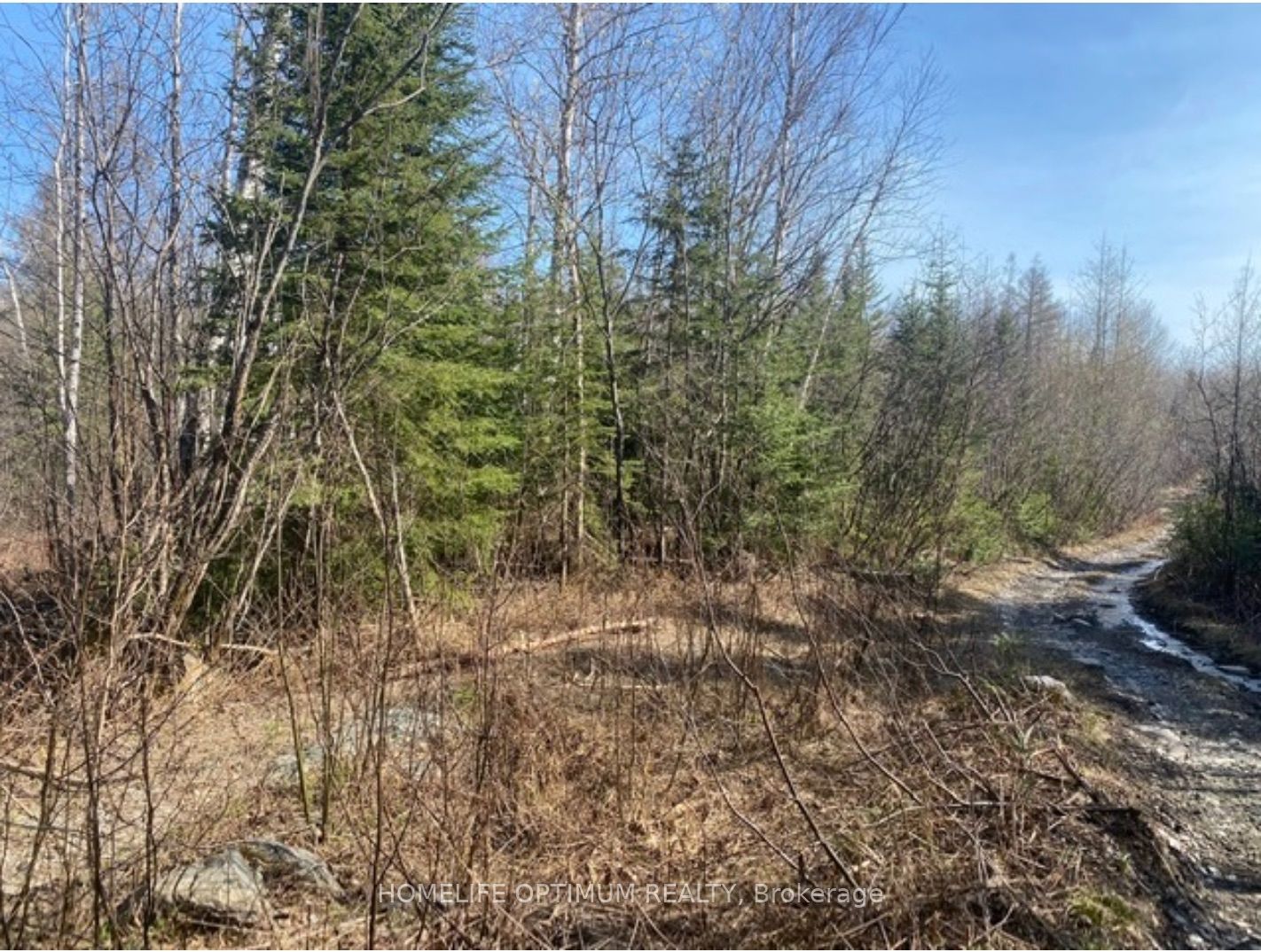 PCL 10742 McGarry N/A, Timiskaming, ON P0K 1X0 photo 3