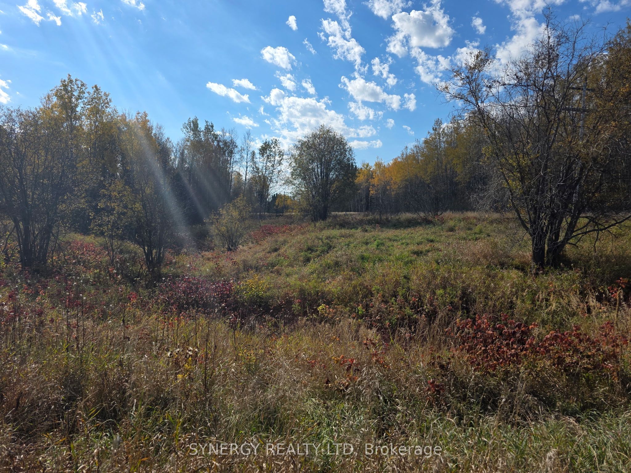 Con 6 N Pt Lot 12 Road, Englehart, ON P0K 1V0 photo 3