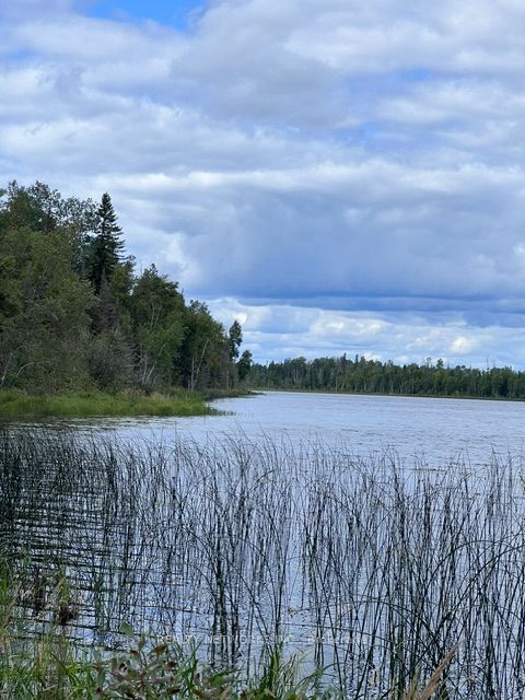 Lot 23 Concession 11 Road, Cochrane, ON P0L 1C0 photo 5