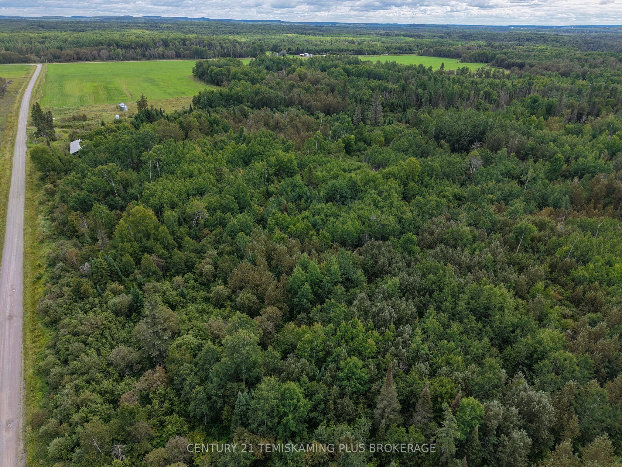 426367 Birch Drive, Englehart, ON P0J 1H0 photo 5