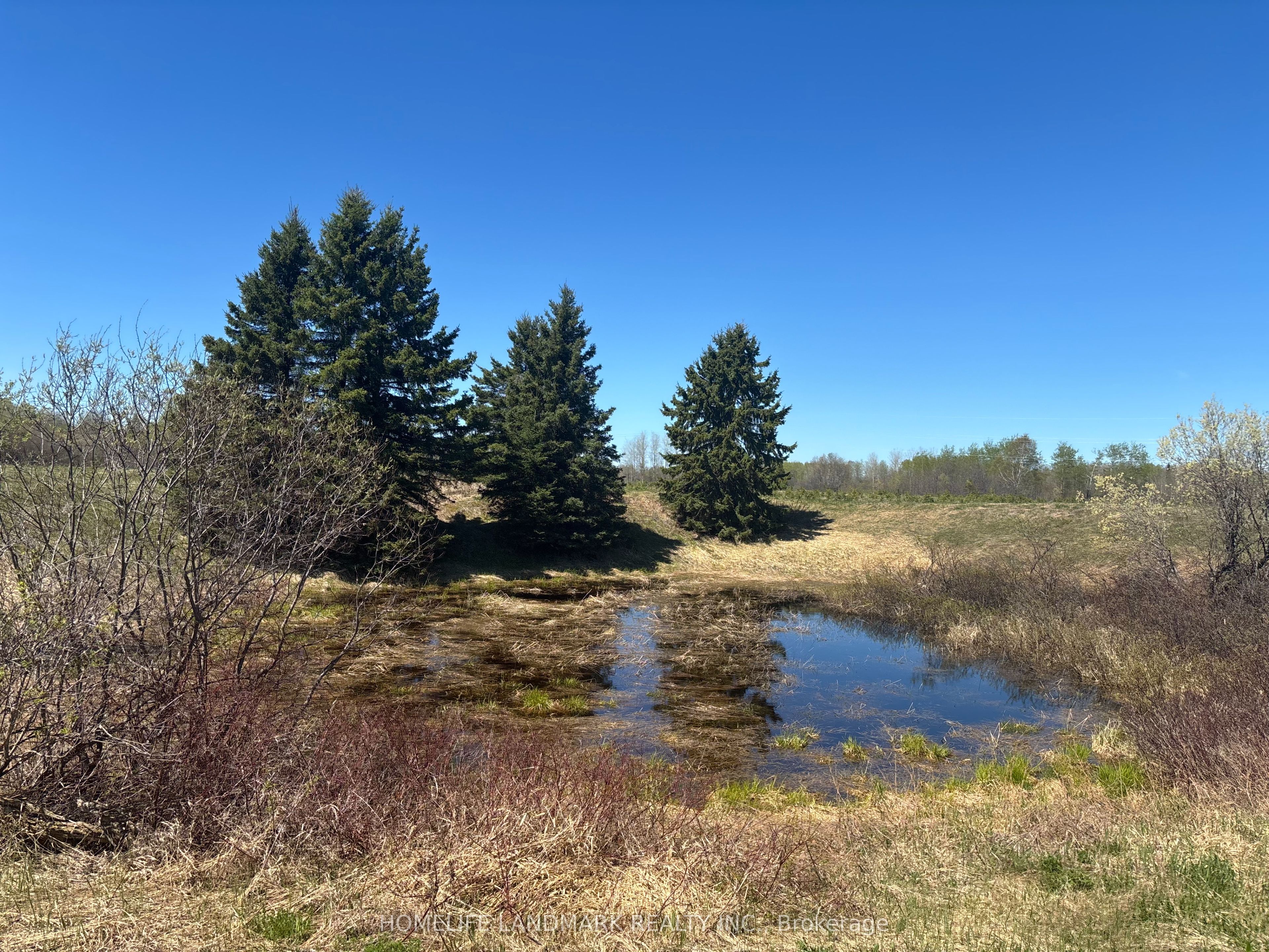 9 Ski Hill Road, Kapuskasing, ON P0L 1V0 photo 3