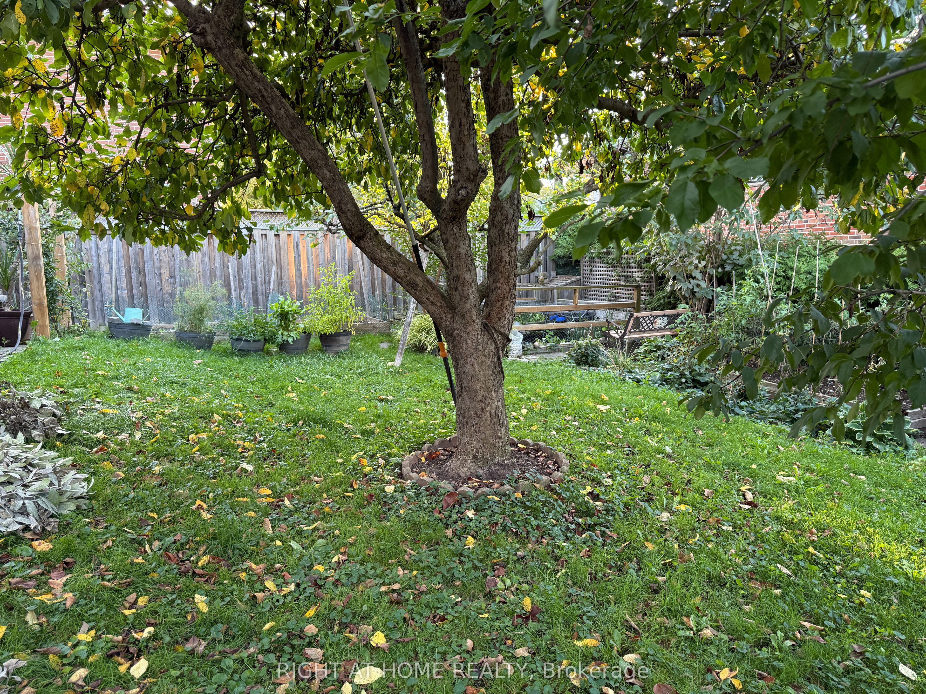 258 La Rose Avenue, Toronto, ON M9P 1B7 photo 5