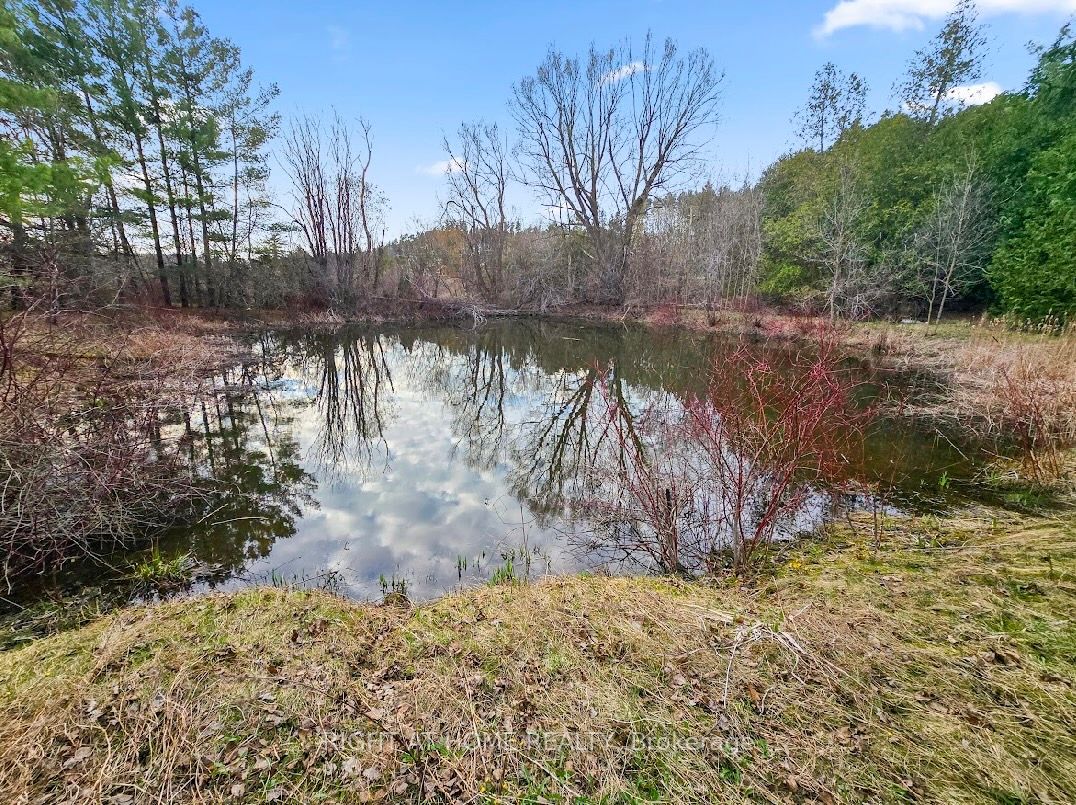 16568 MOUNT HOPE Road, Caledon, ON L7E 5R8 photo 4