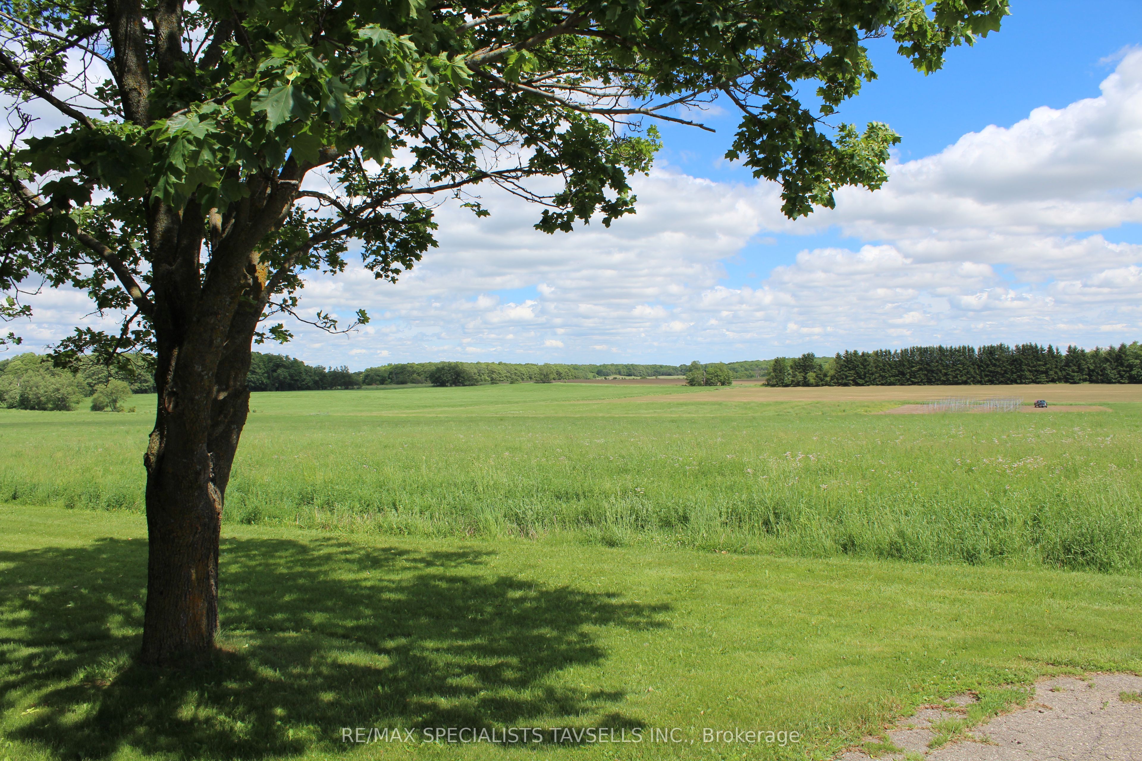 18161 St Andrews Road, Caledon, ON L7K 2C5 photo 4