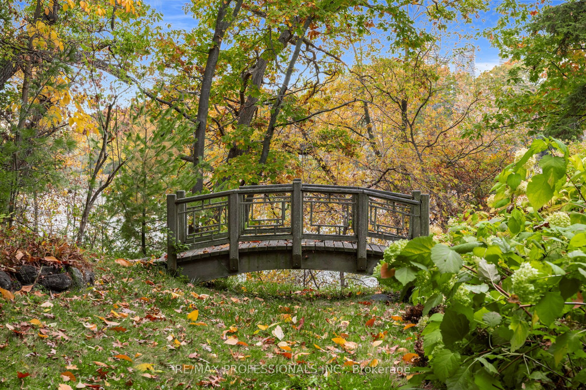 23 Riverside Crescent, Toronto, ON M6S 1B5 photo 3