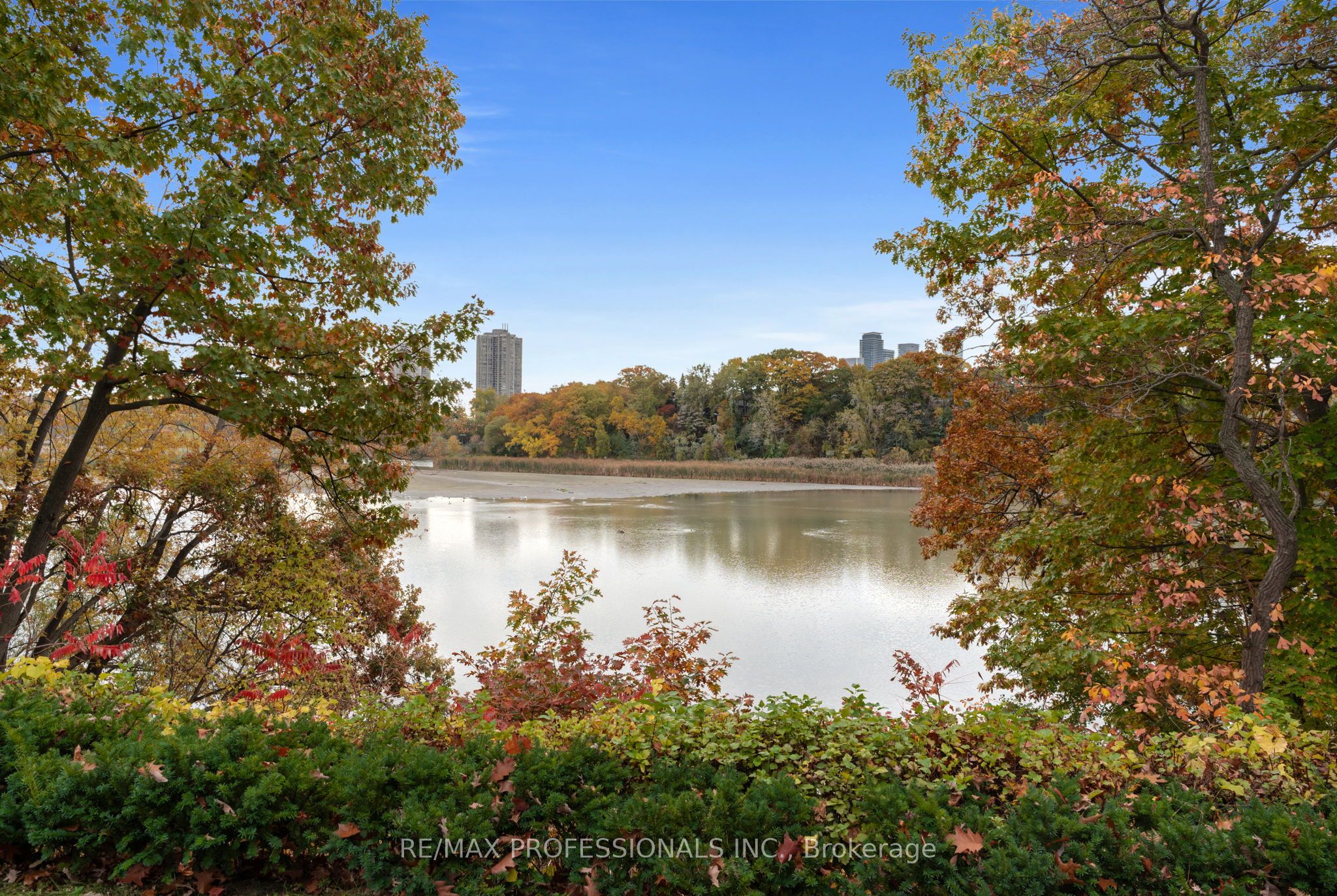 23 Riverside Crescent, Toronto, ON M6S 1B5 photo 5