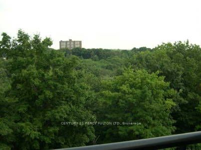 15 London Green Court 808, Toronto, ON M3N 1K4 photo 2