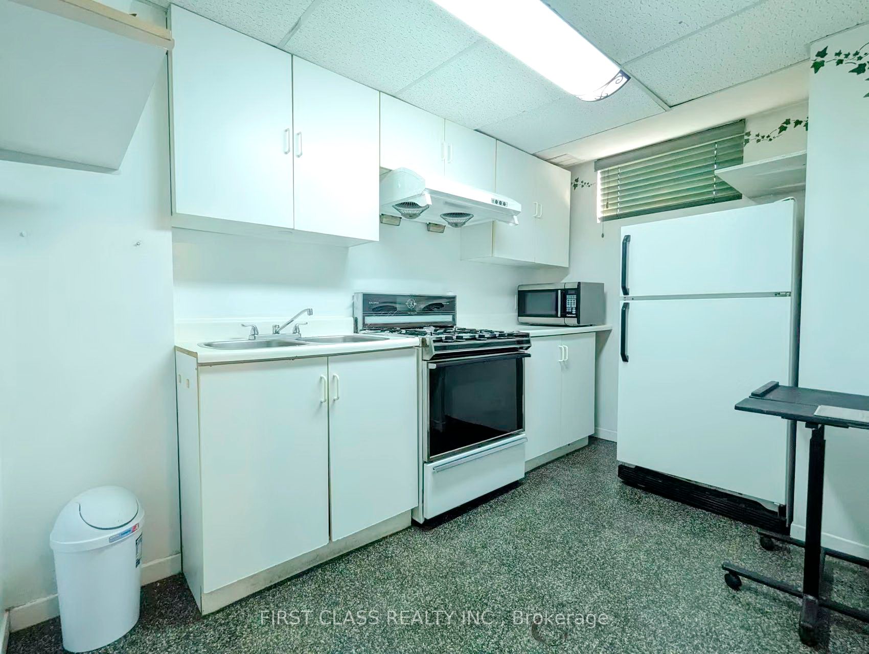1226 Kos Boulevard Bsmnt, Mississauga, ON L5J 4L7 photo 2