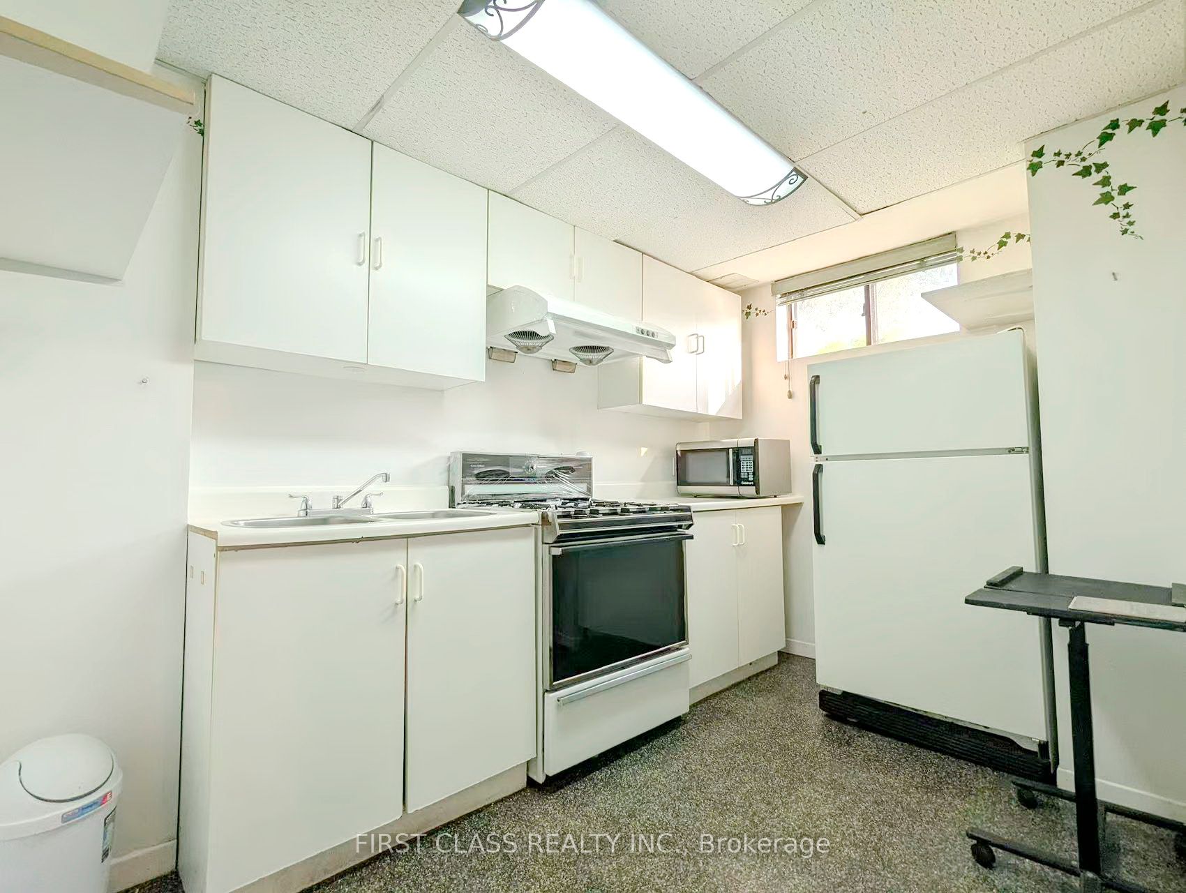 1226 Kos Boulevard Bsmnt, Mississauga, ON L5J 4L7 photo 3