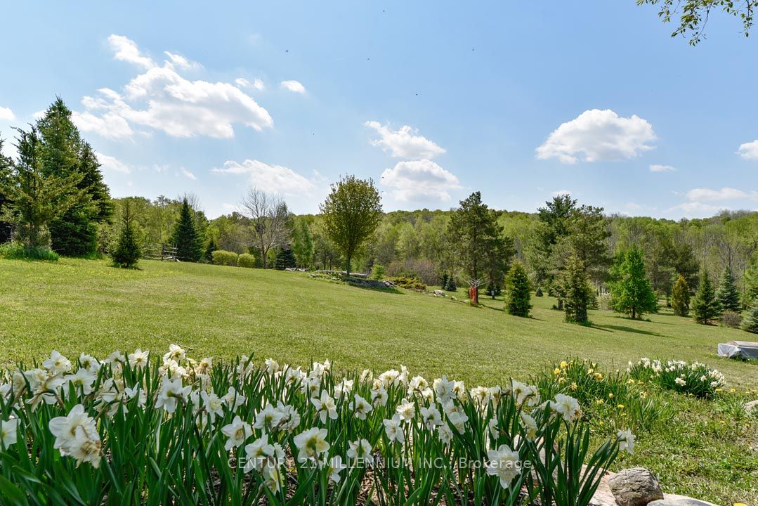 17218 Innis Lake Road, Caledon, ON L7K 2K6 photo 5