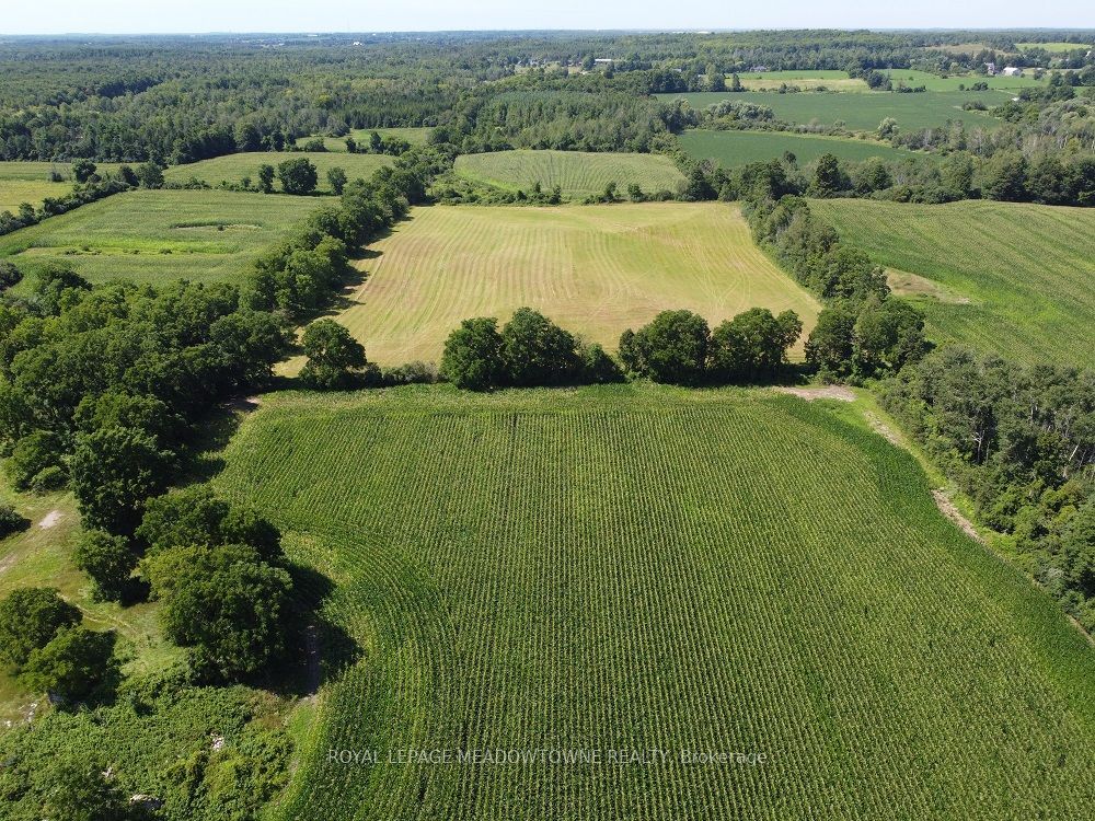 11080 First Line Nassagaweya, Milton, ON L0P 1J0
