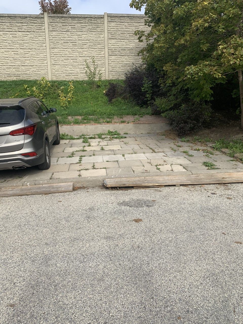100 Rory Road Bsmt, Toronto, ON M6L 3G1 photo 4