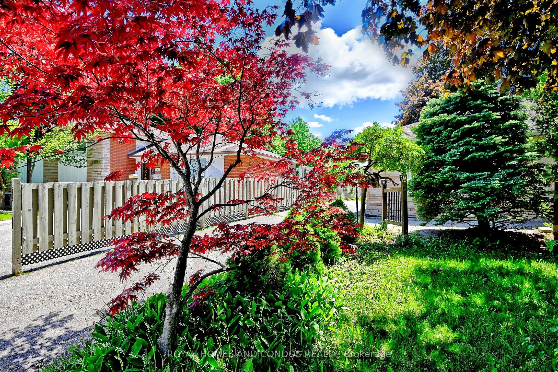 6 Raylawn Crescent, Halton Hills, ON L7G 4M5 photo 3