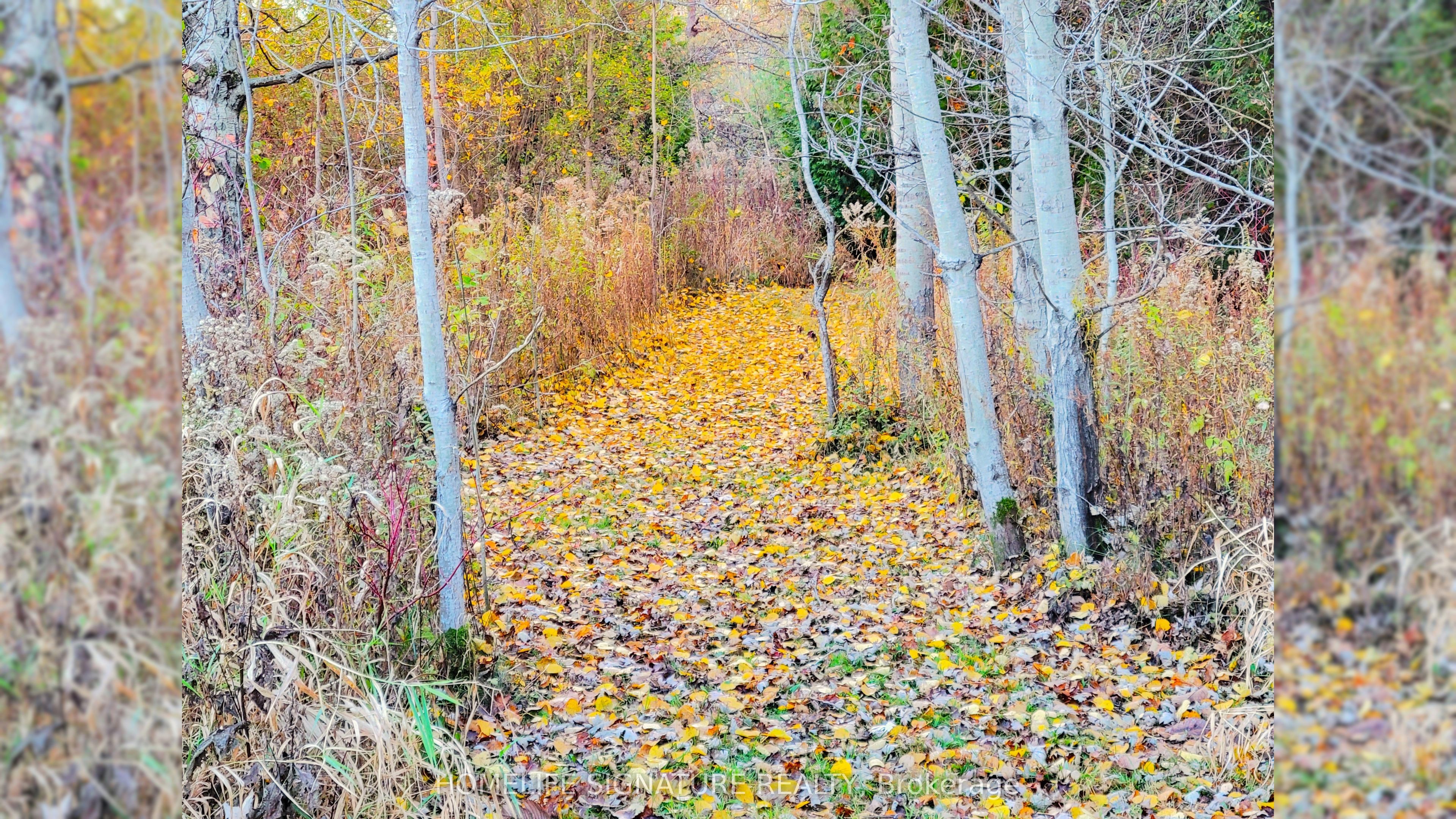 5273 25 Side Road, Milton, ON L7J 2L7 photo 5