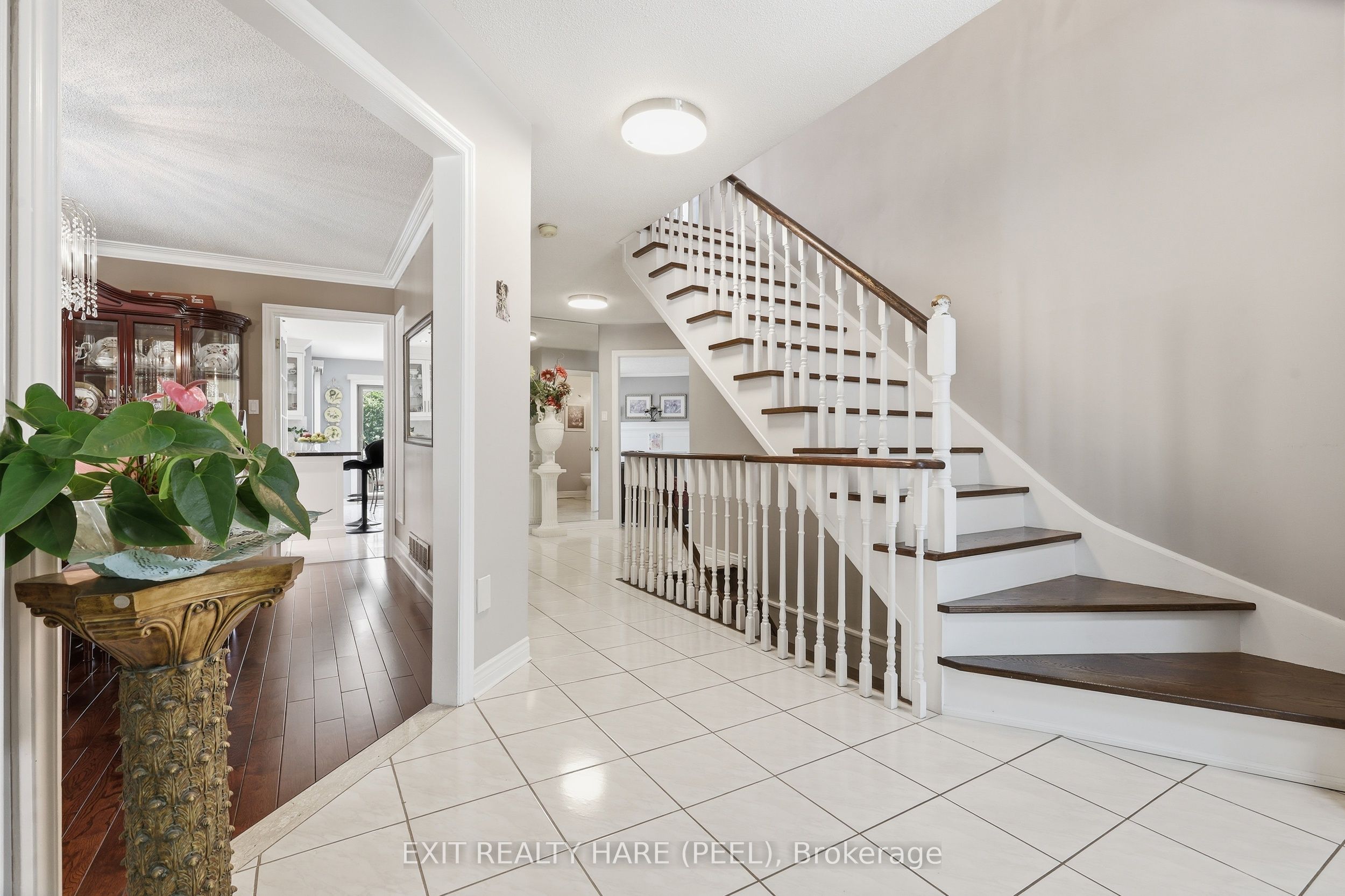 14 Warrington Court, Brampton, ON L6W 4G7 photo 4