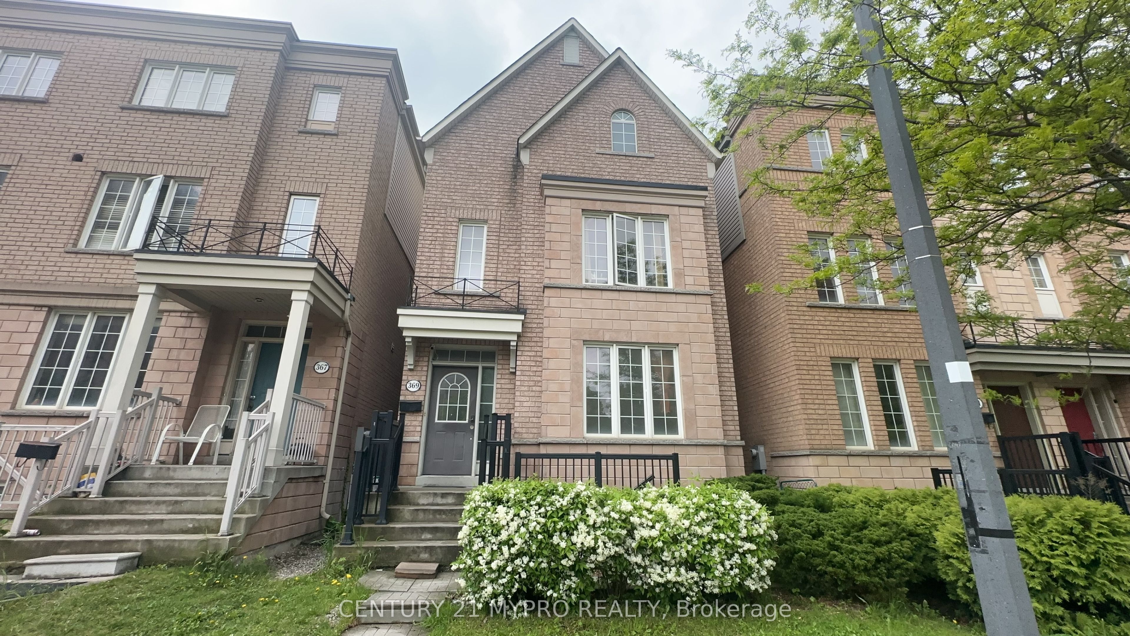 369 Assiniboine Road, Toronto, ON M3J 0A6 photo 3