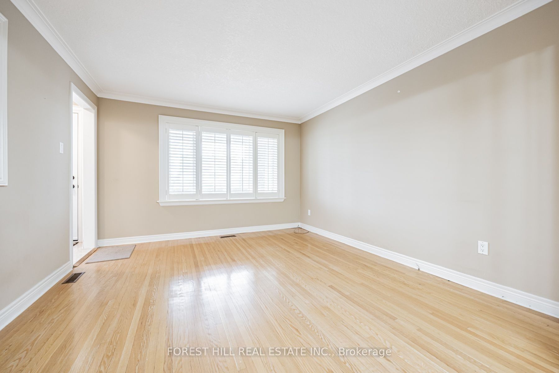 159 Spalding Road, Toronto, ON M3K 1K3 photo 4