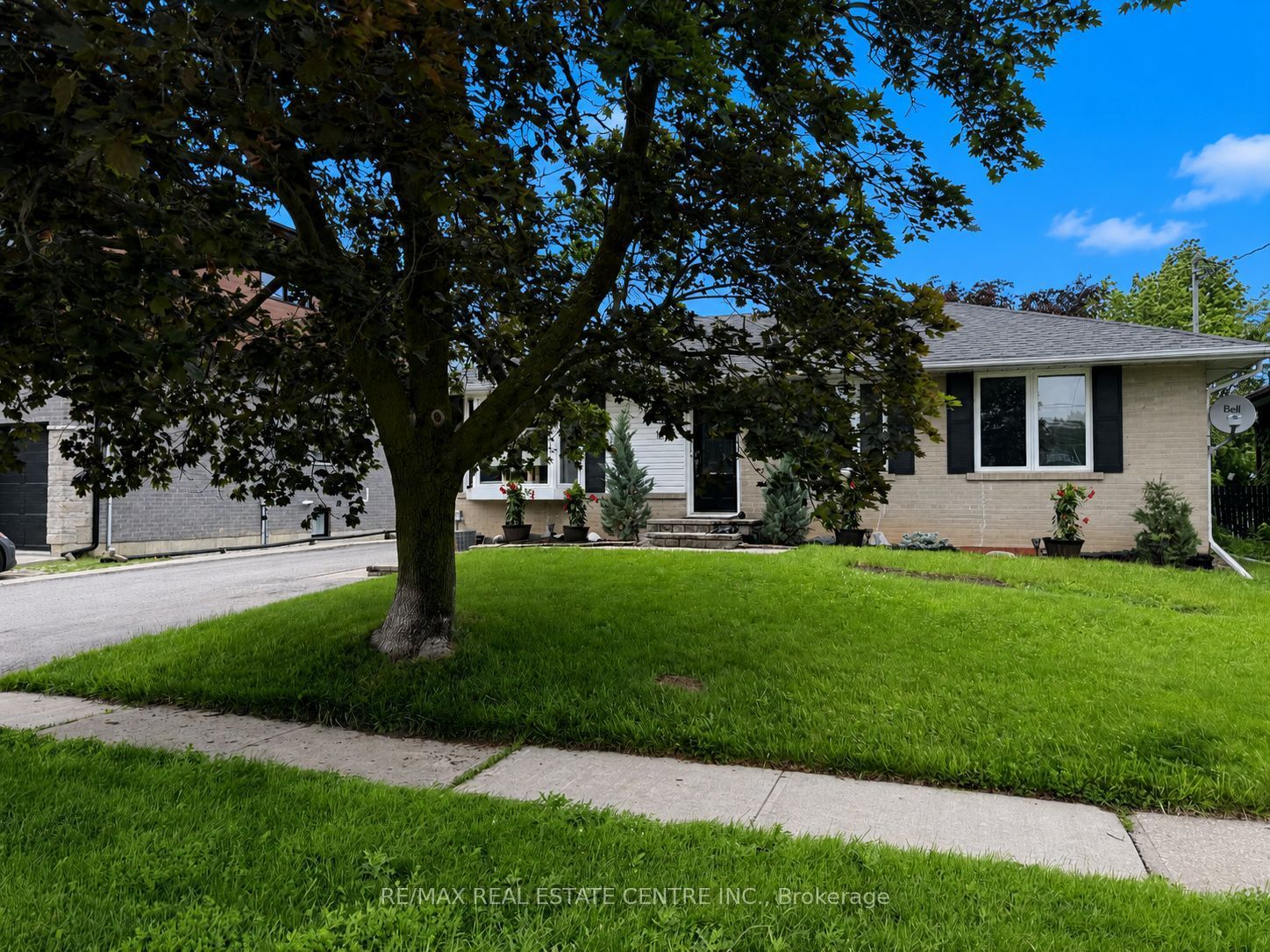 18 Mackenzie Drive Basement, Halton Hills, ON L7G 4B9 photo 2