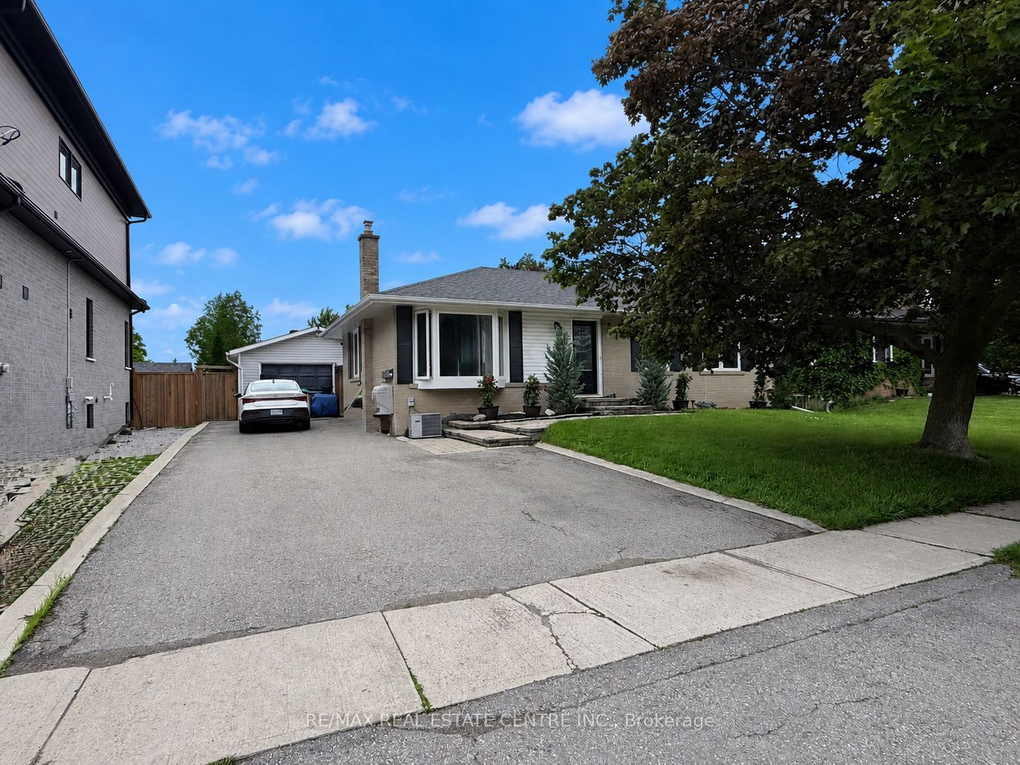 18 Mackenzie Drive Basement, Halton Hills, ON L7G 4B9 photo 3