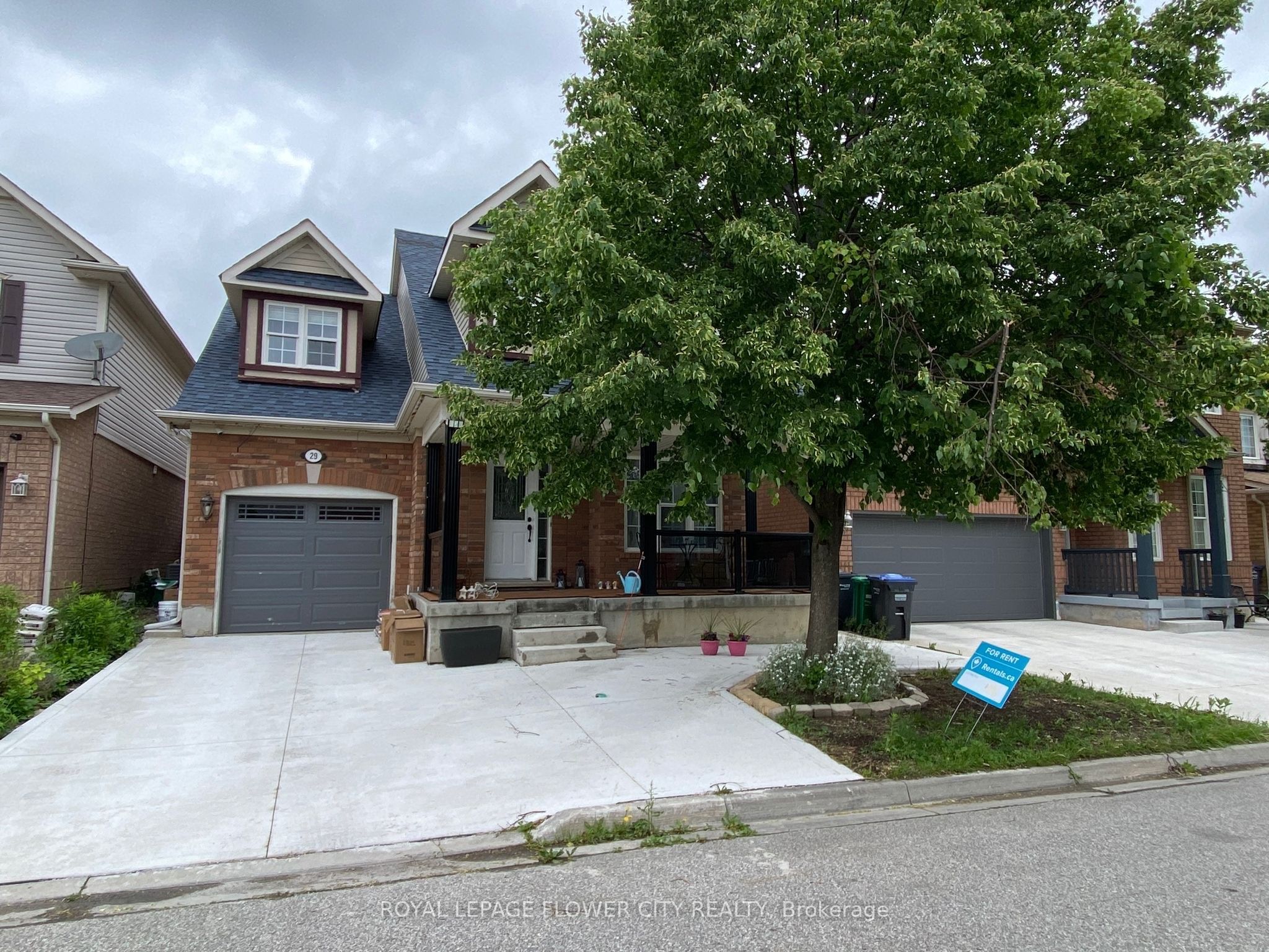 29 Marshmarigold Drive Basement, Brampton, ON L7A 2S7