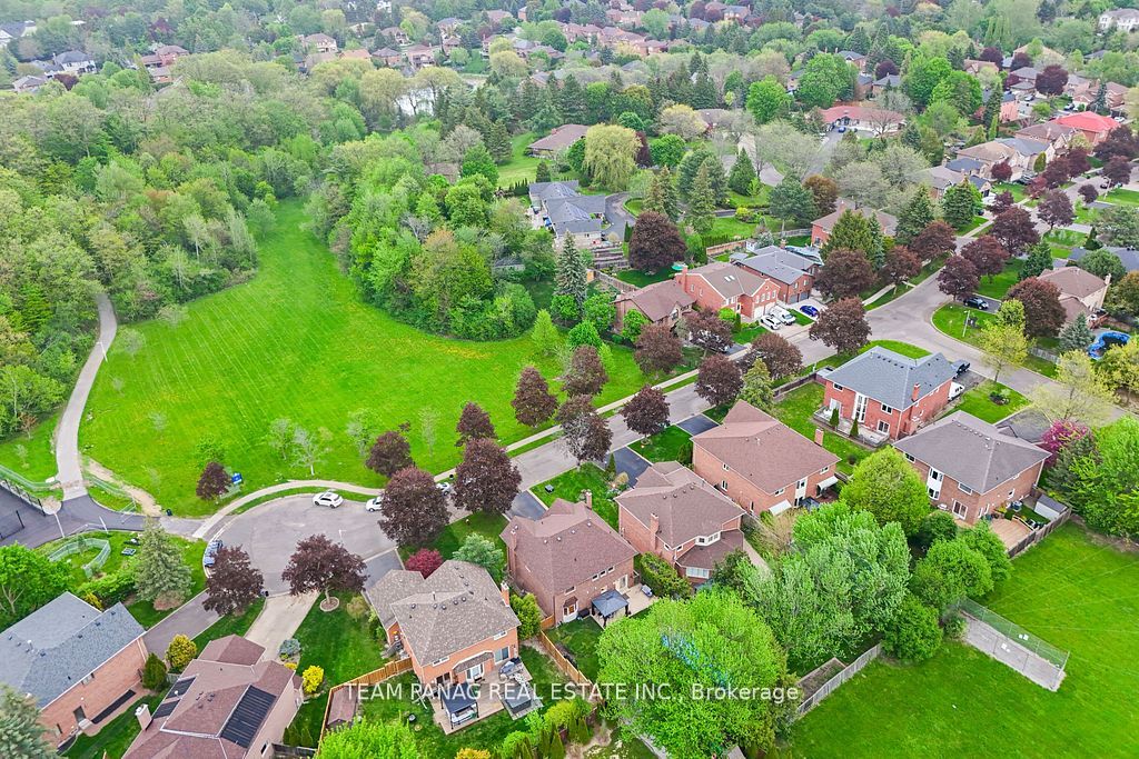 20 Hacienda Court, Brampton, ON L6Z 3J1 photo 3