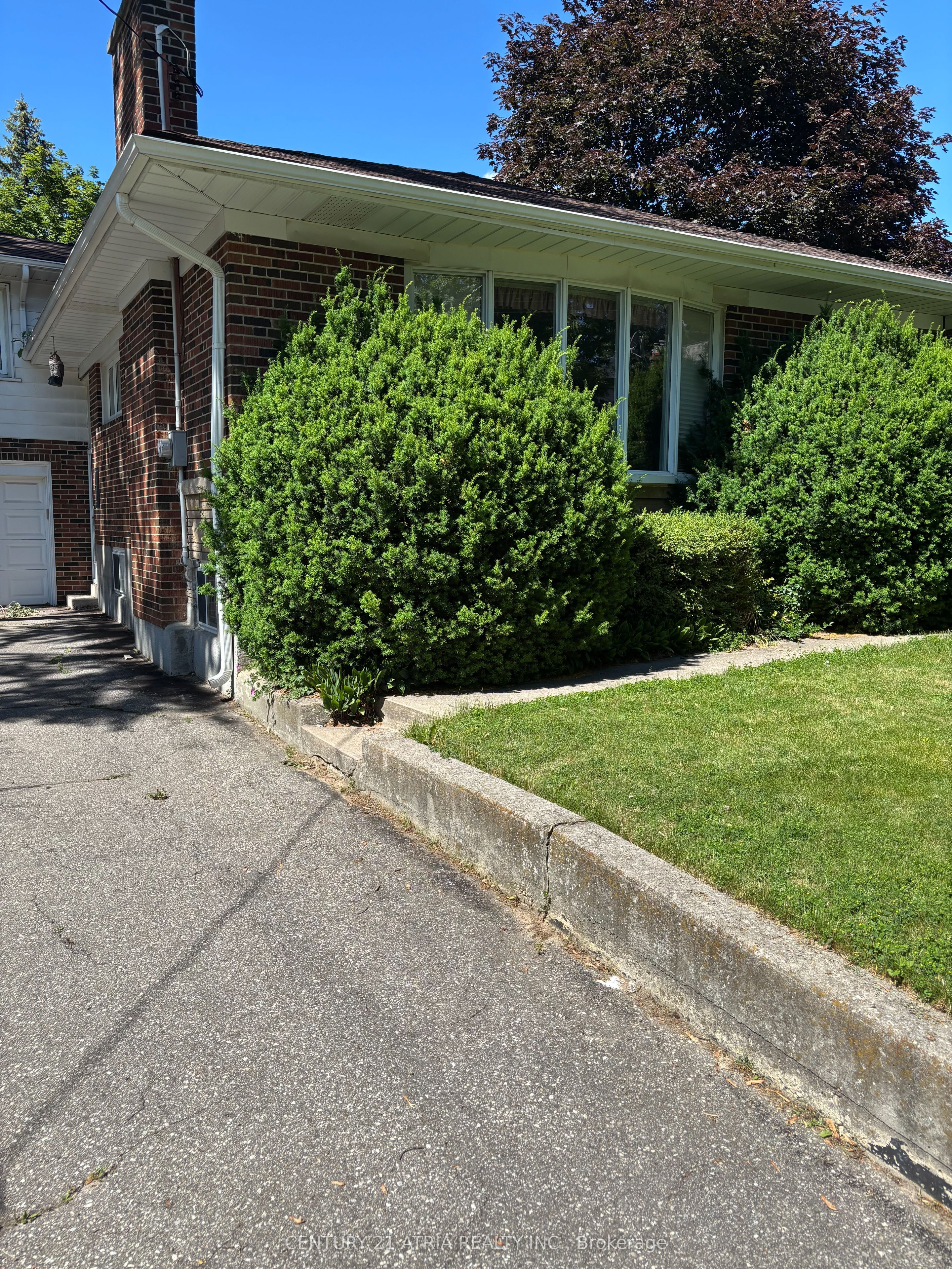 4 Winesap Place, Toronto, ON M9A 1M4 photo 2