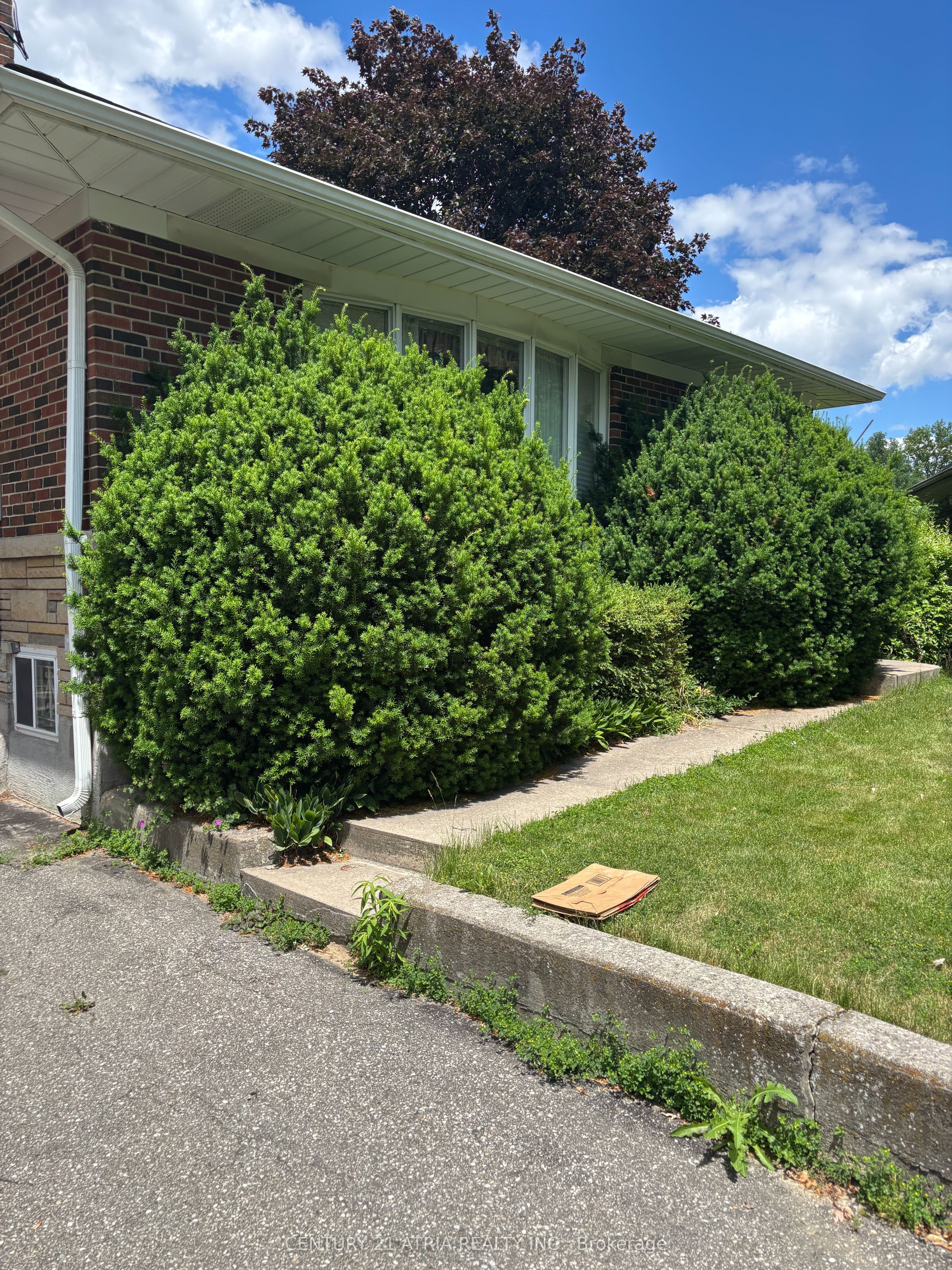 4 Winesap Place, Toronto, ON M9A 1M4 photo 3