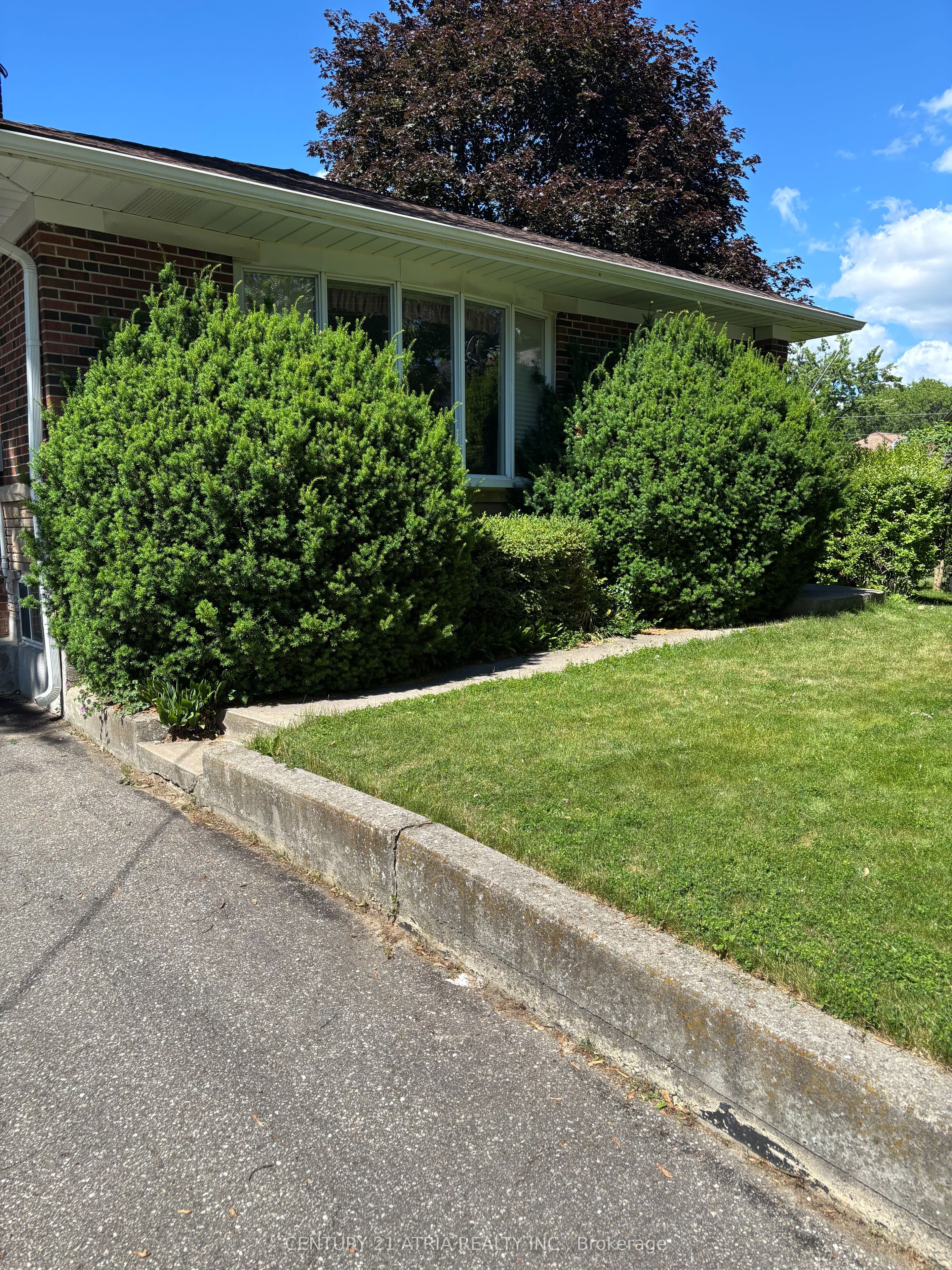 4 Winesap Place, Toronto, ON M9A 1M4 photo 4