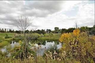 132 Calm Waters Crescent, Brampton, ON L6V 4S2 photo 3