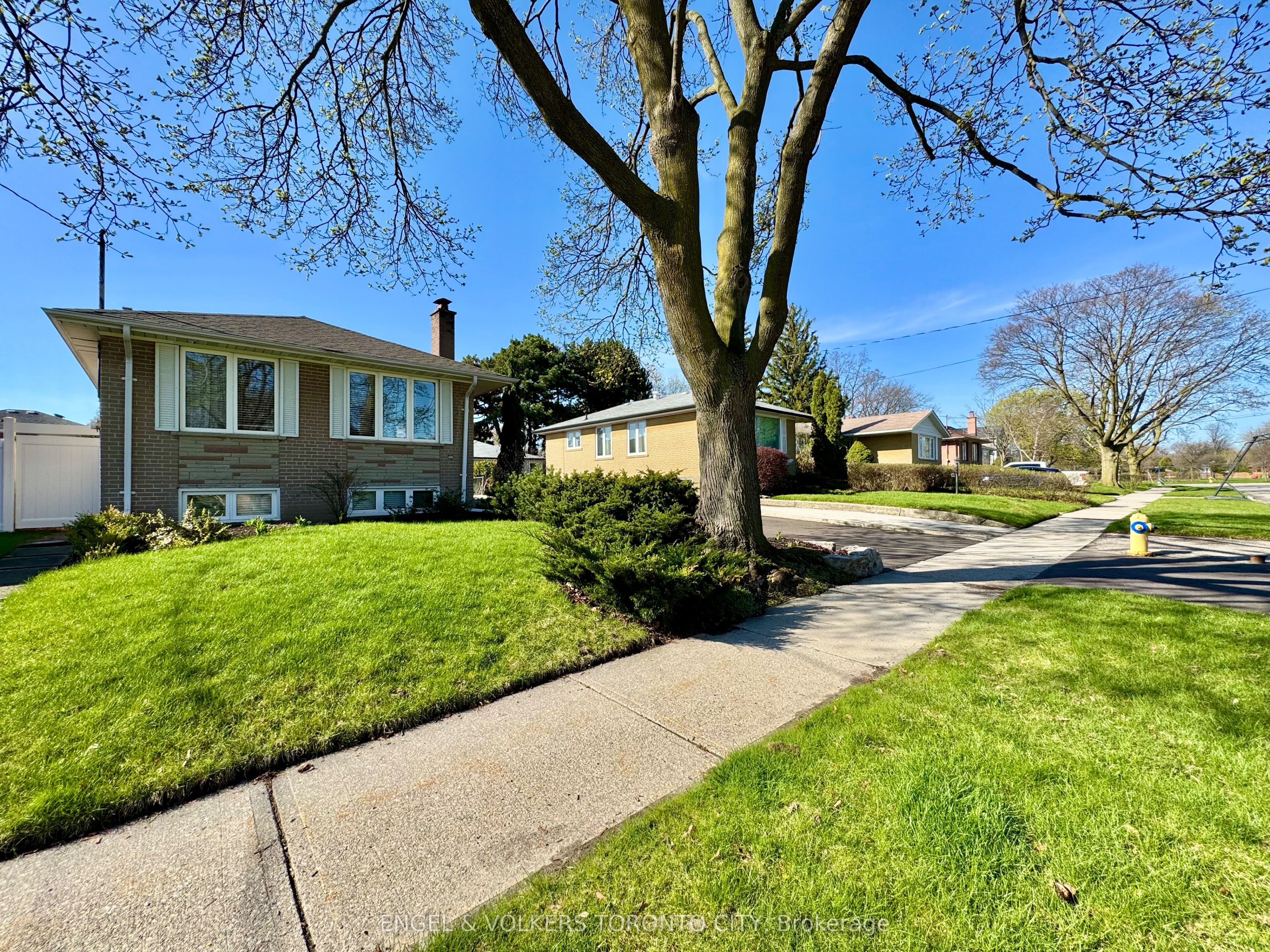 41 Paragon Road, Toronto, ON M9R 1J9 photo 3