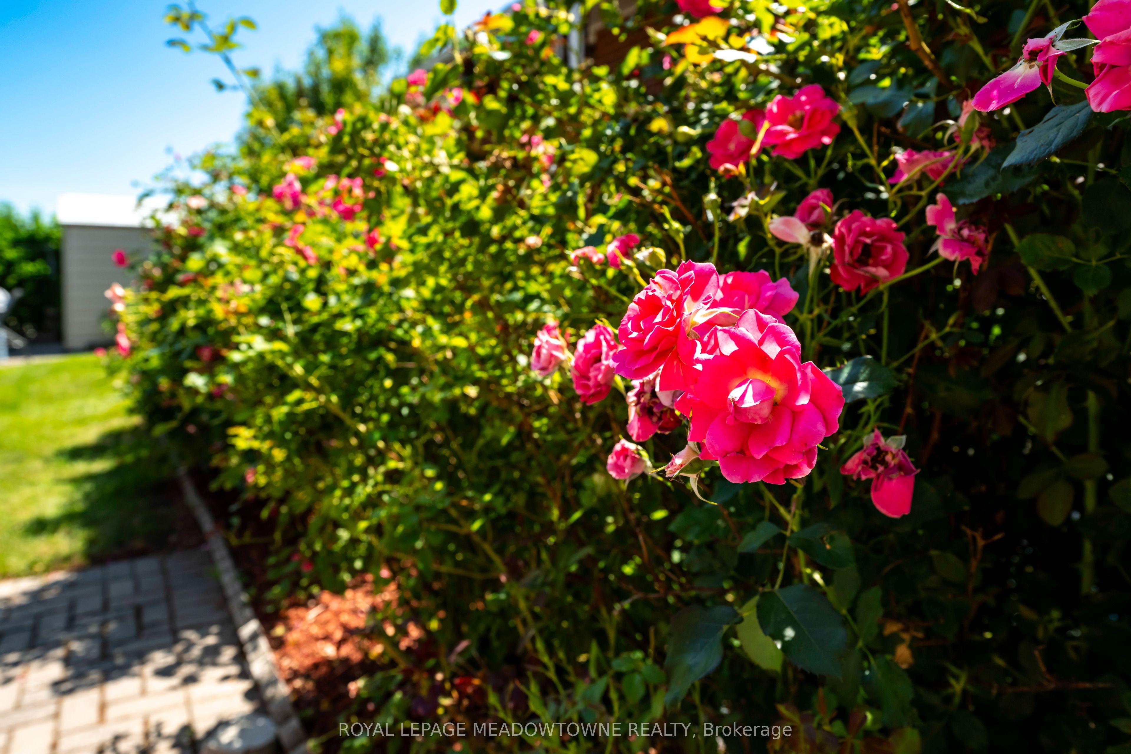 5 Boreal Road, Toronto, ON M9C 2E9 photo 4