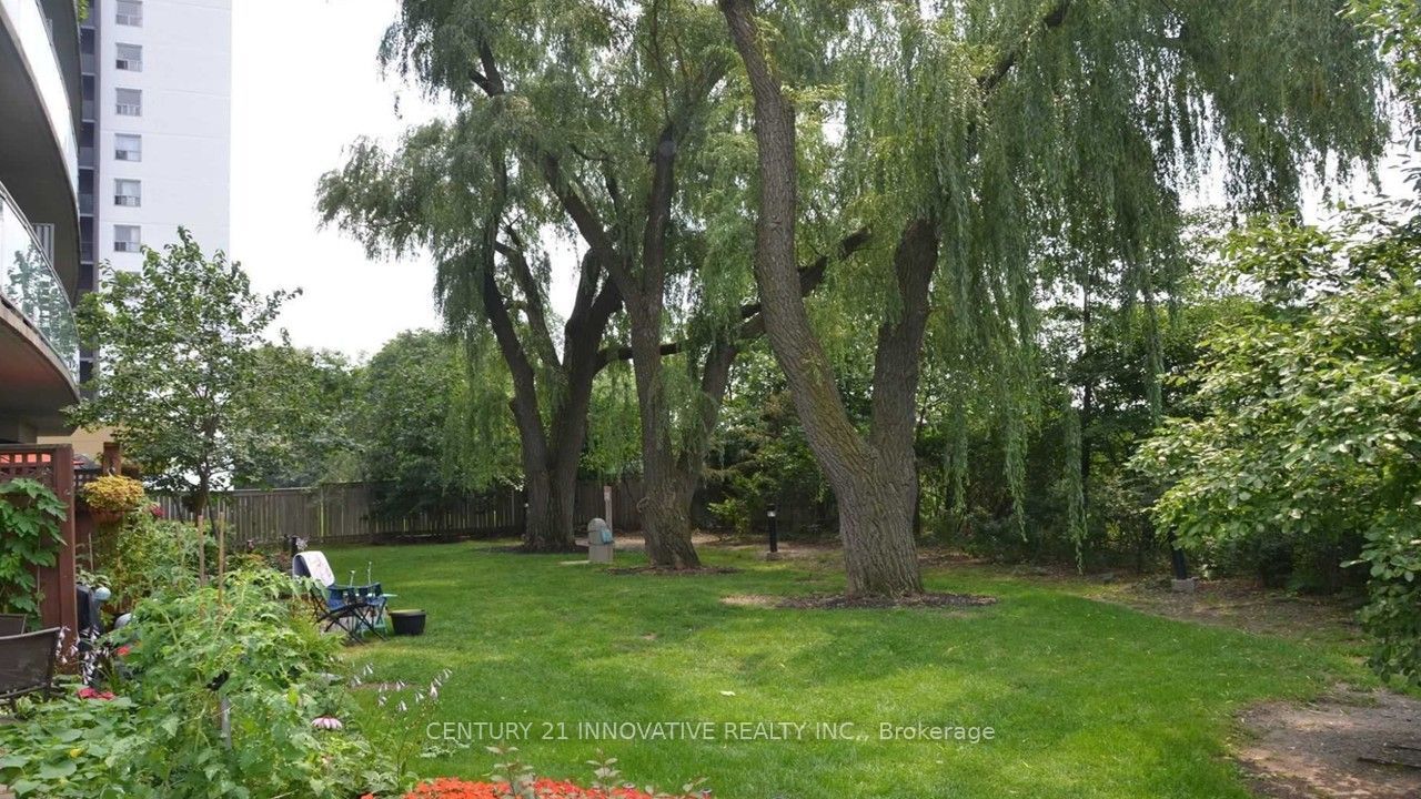 2464 Weston Road 201, Toronto, ON M9N 0A2 photo 3