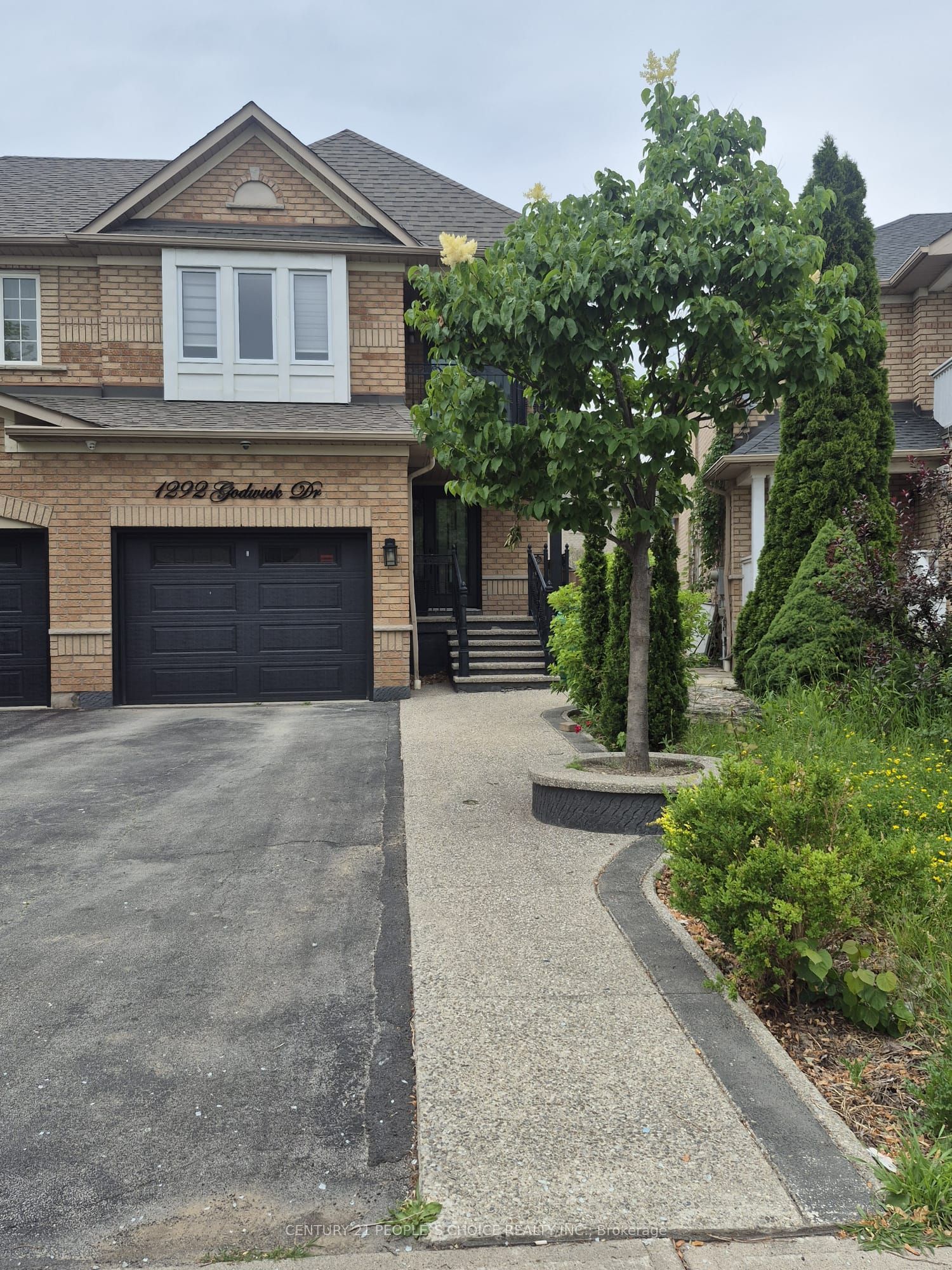 1292 Godwick Drive (Lower), Mississauga, ON L5N 7X3 photo 3