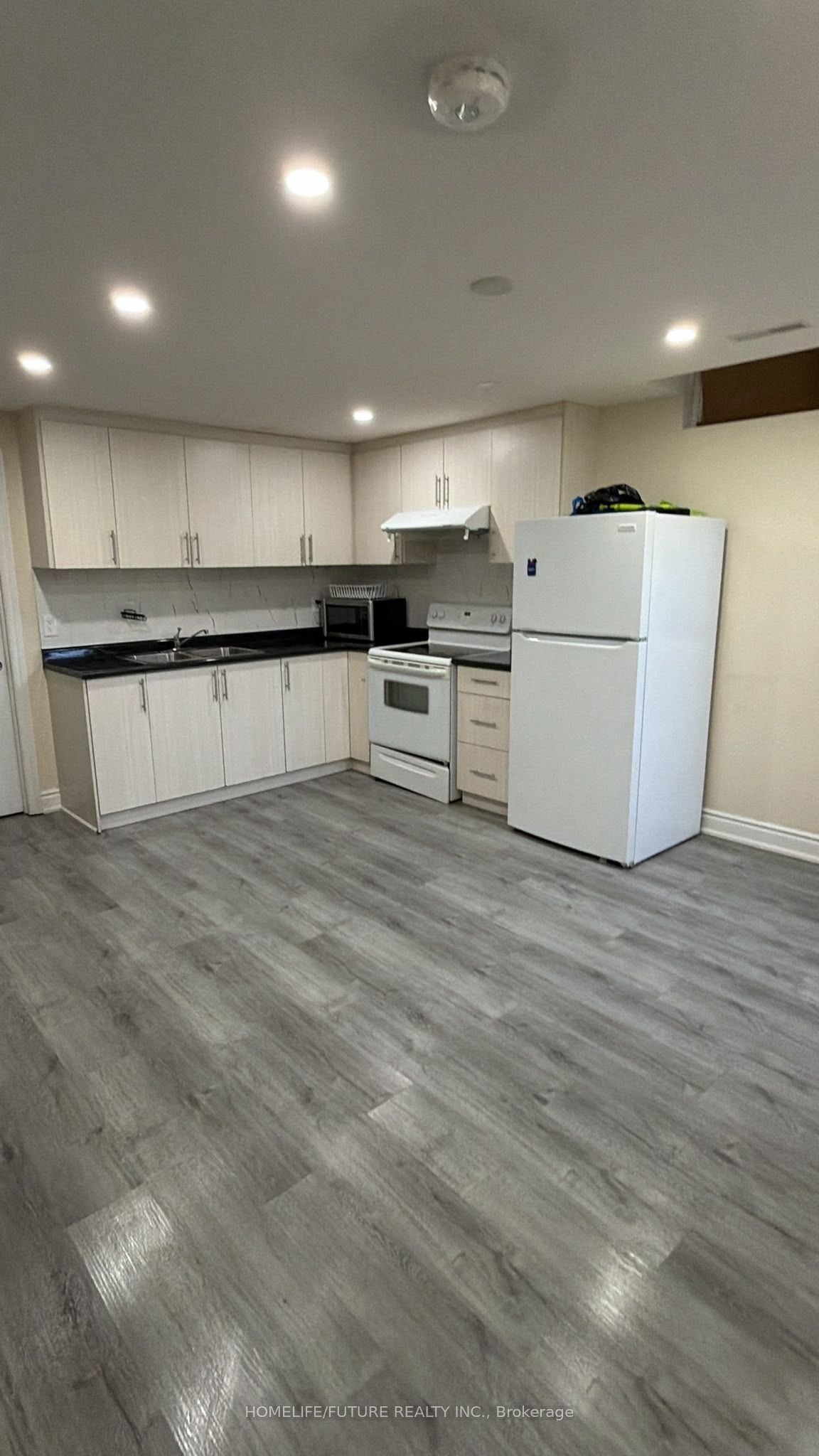 21 Floribunda Crescent Bsmt, Brampton, ON L6T 4R8 photo 4