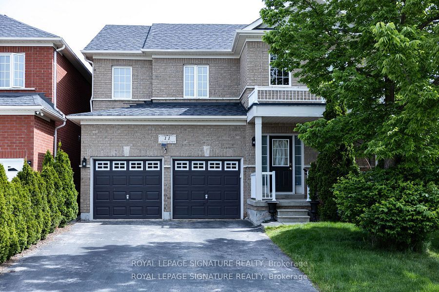 11 Celestial Court Lower, Brampton, ON L7A 3R8