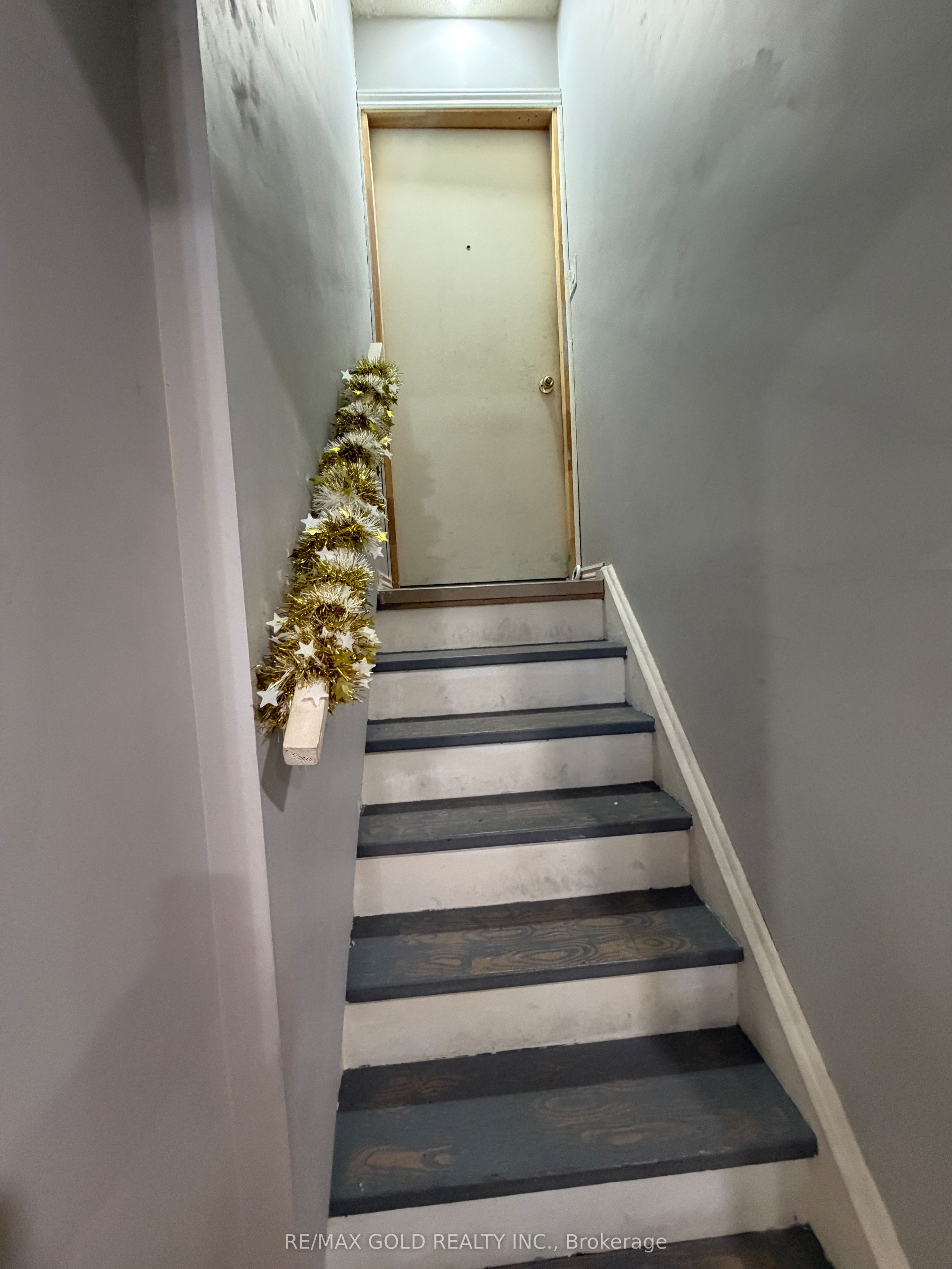 38 Carter Drive Basement, Brampton, ON L6V 3N5 photo 3